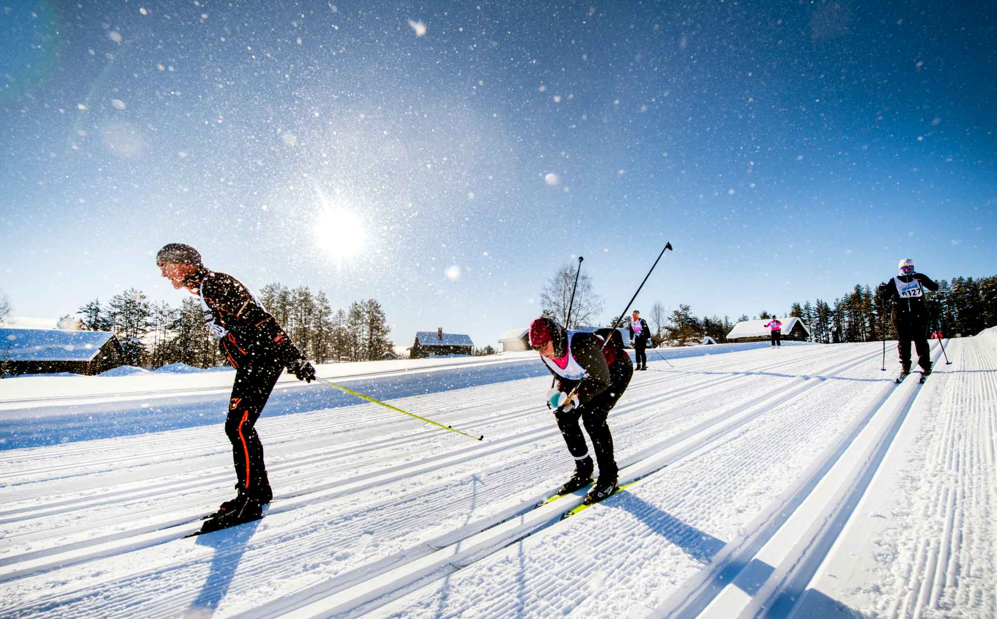 Cross-country skiers competing in Vasaloppet on a sunny day.