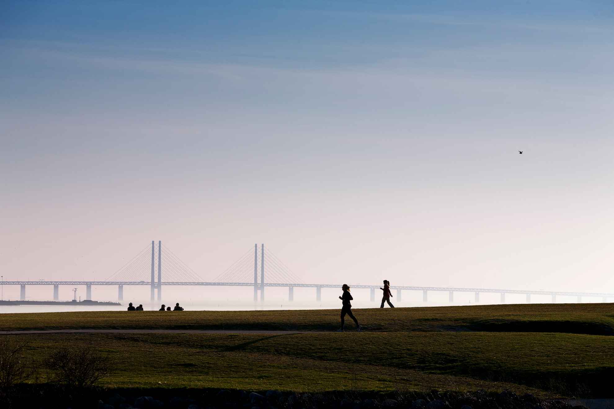 The Öresund Bridge in the sunset. A few people are running in the foreground.