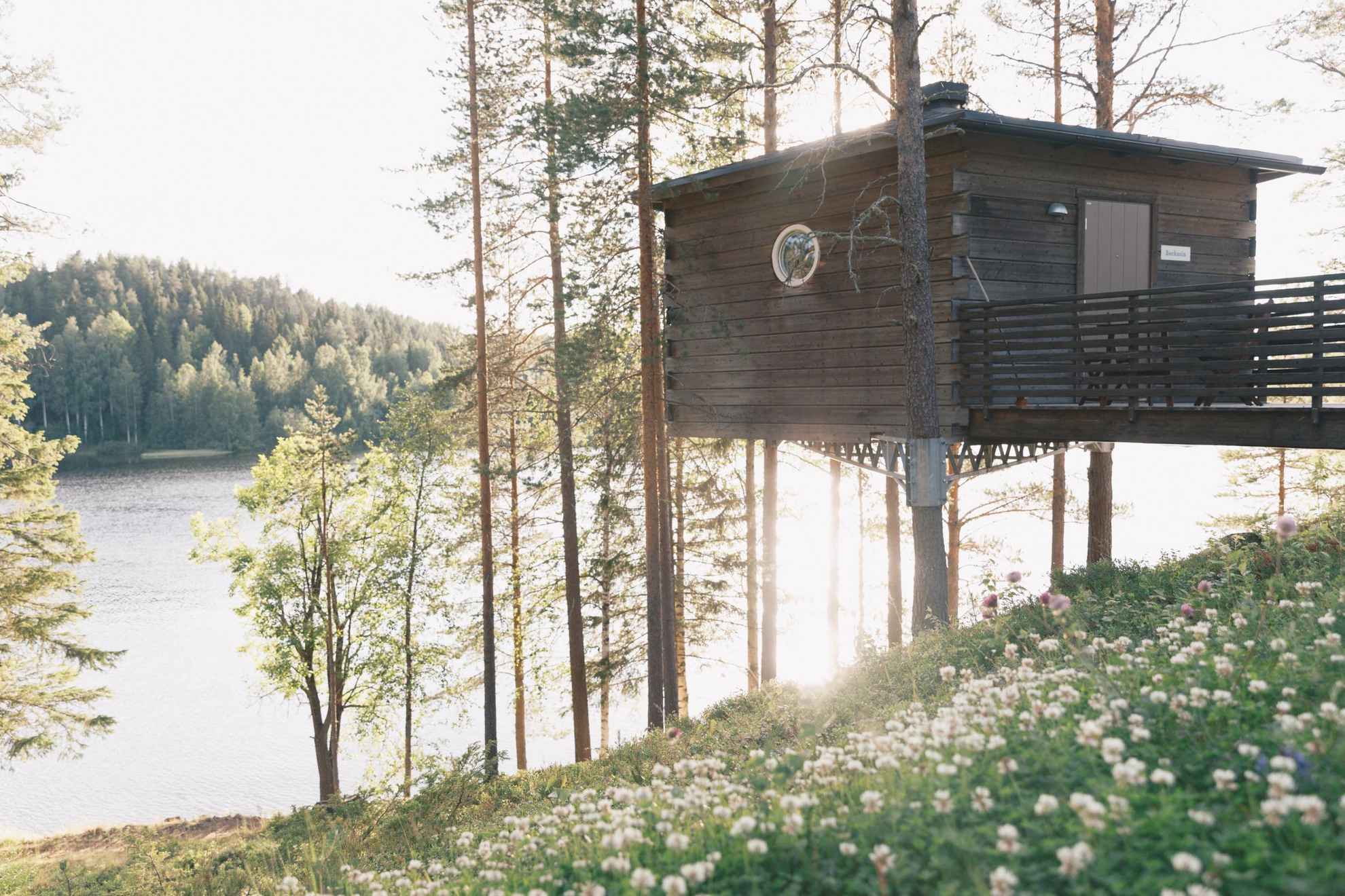A tree house by a river during spring. Wood anemones is in the foreground.