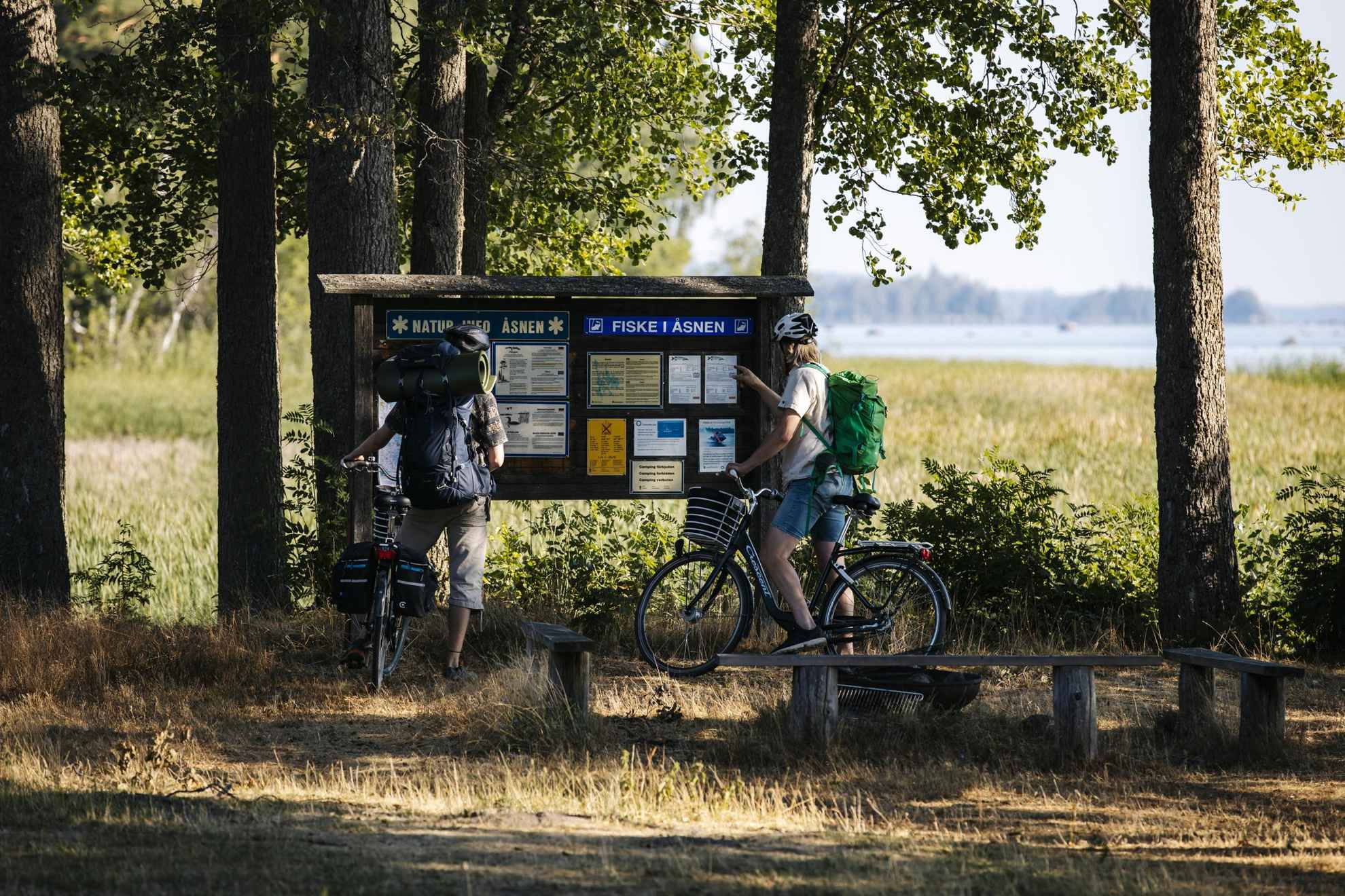 Biking in Åsnen, Småland