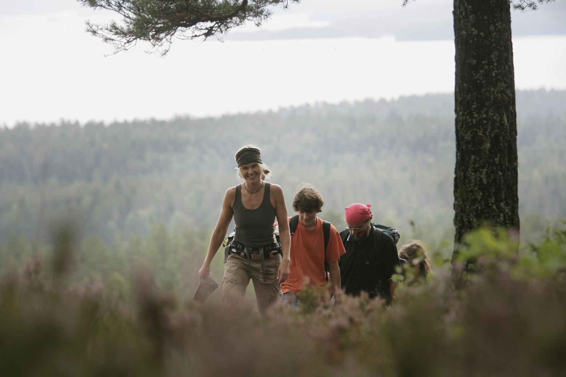 Hiking i Glaskogen nature reserve, Värmland