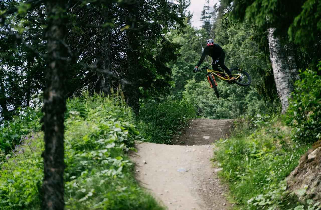 A person on a mountain bike jumping while biking on a trail in the forest.
