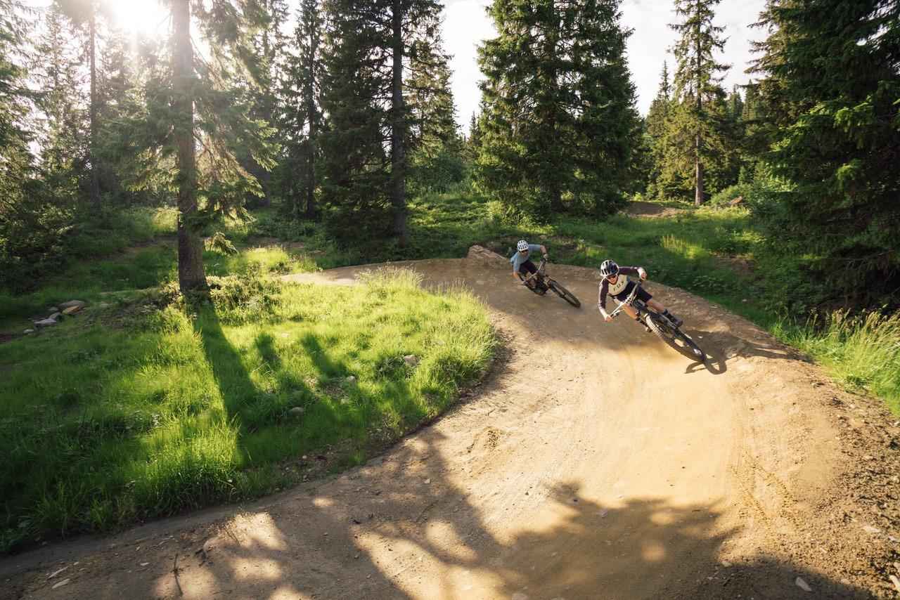 Two people are mountain biking in the summer.