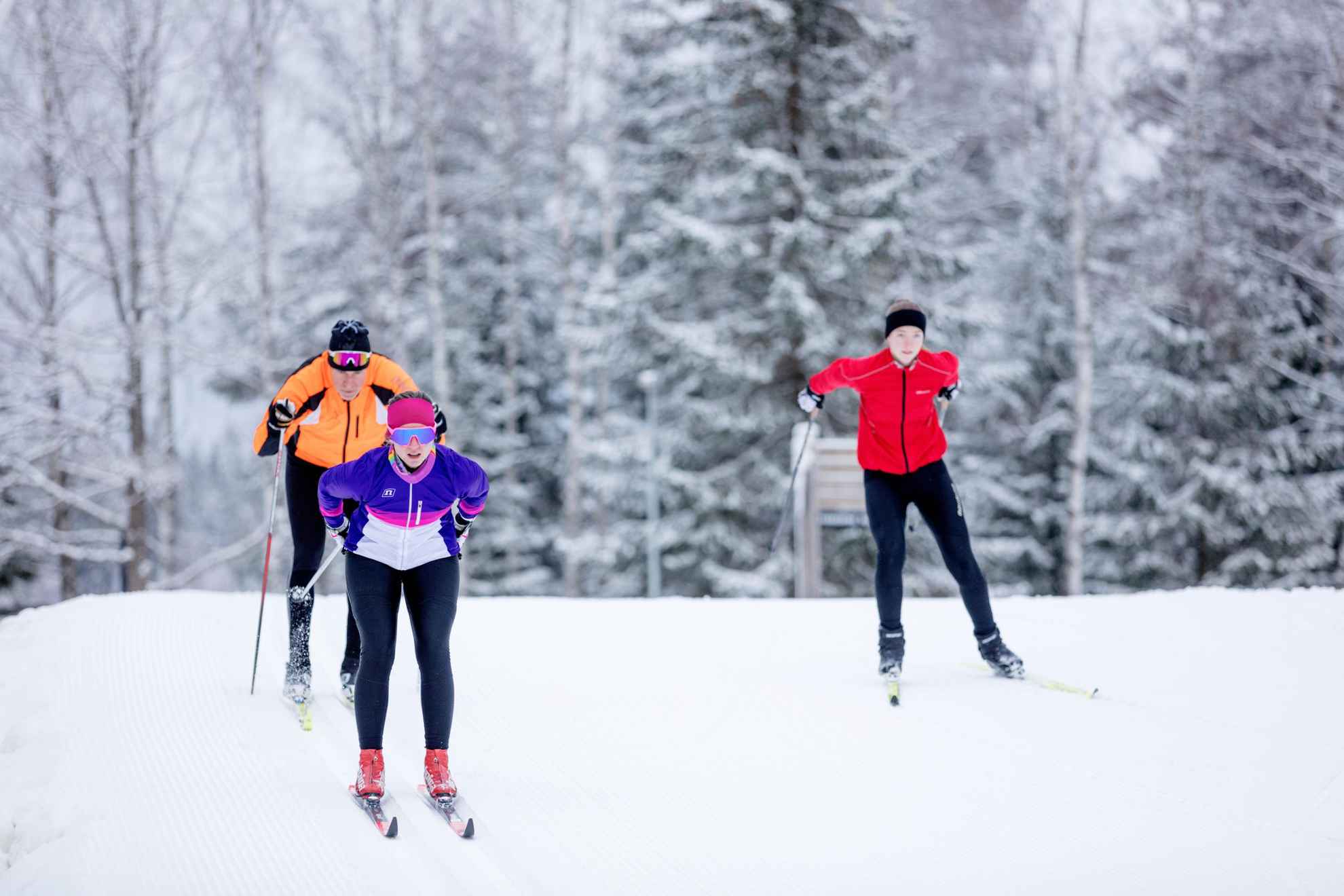 Three people cross-country skiing.