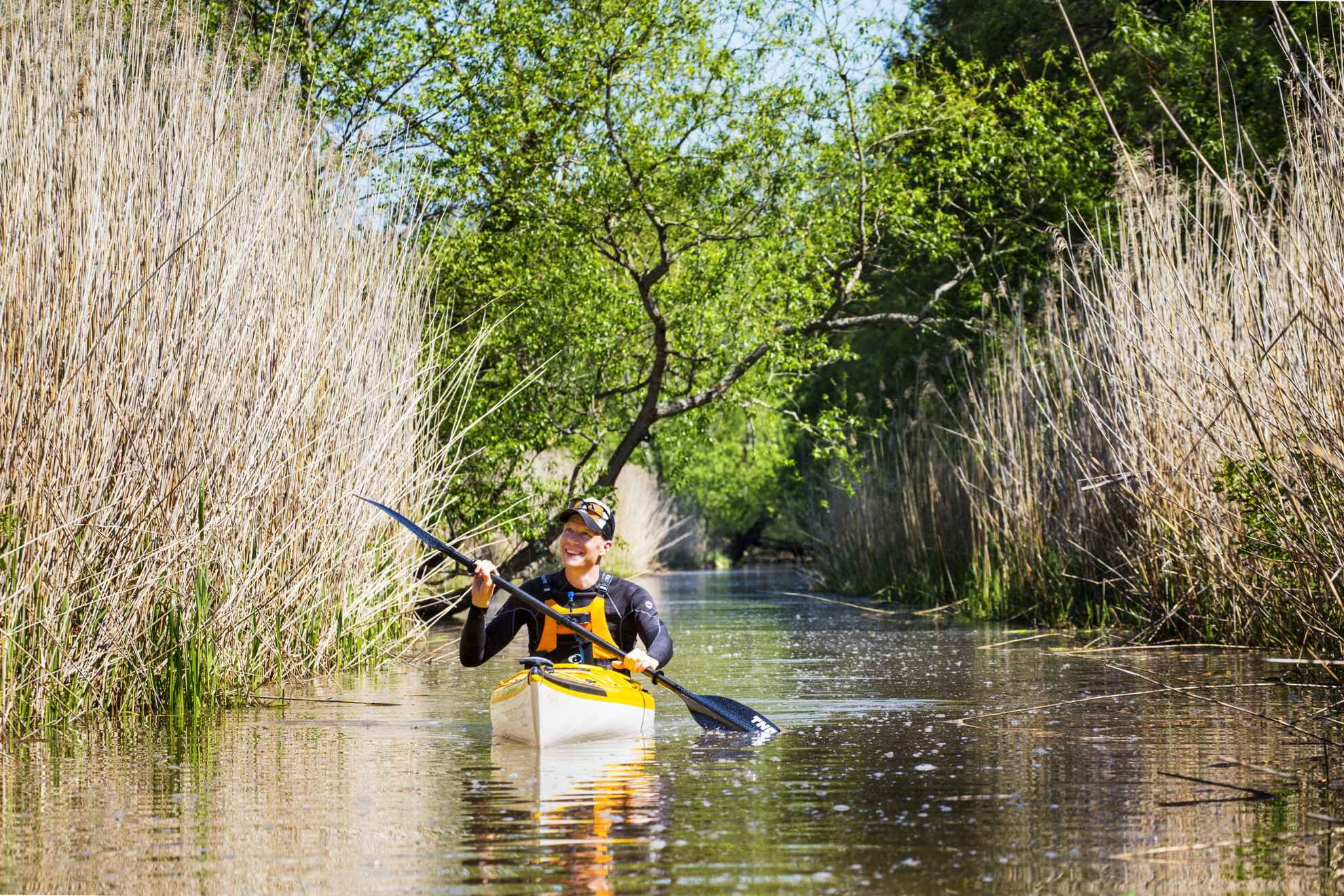 A man is kayaking in a river. There is reed and trees on each side of the water.