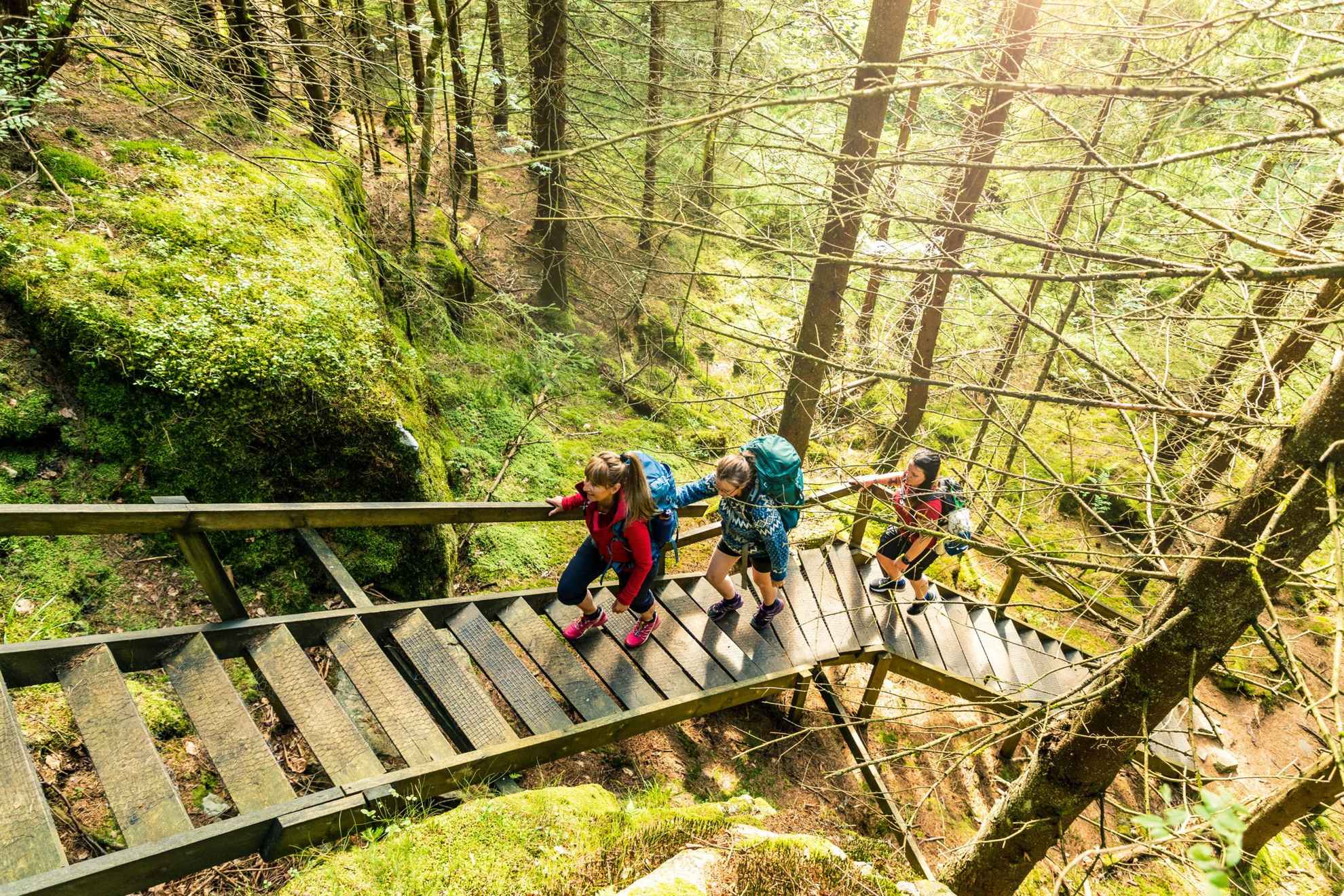 Three people with backpacks are walking up a wooden staircase in a forest.