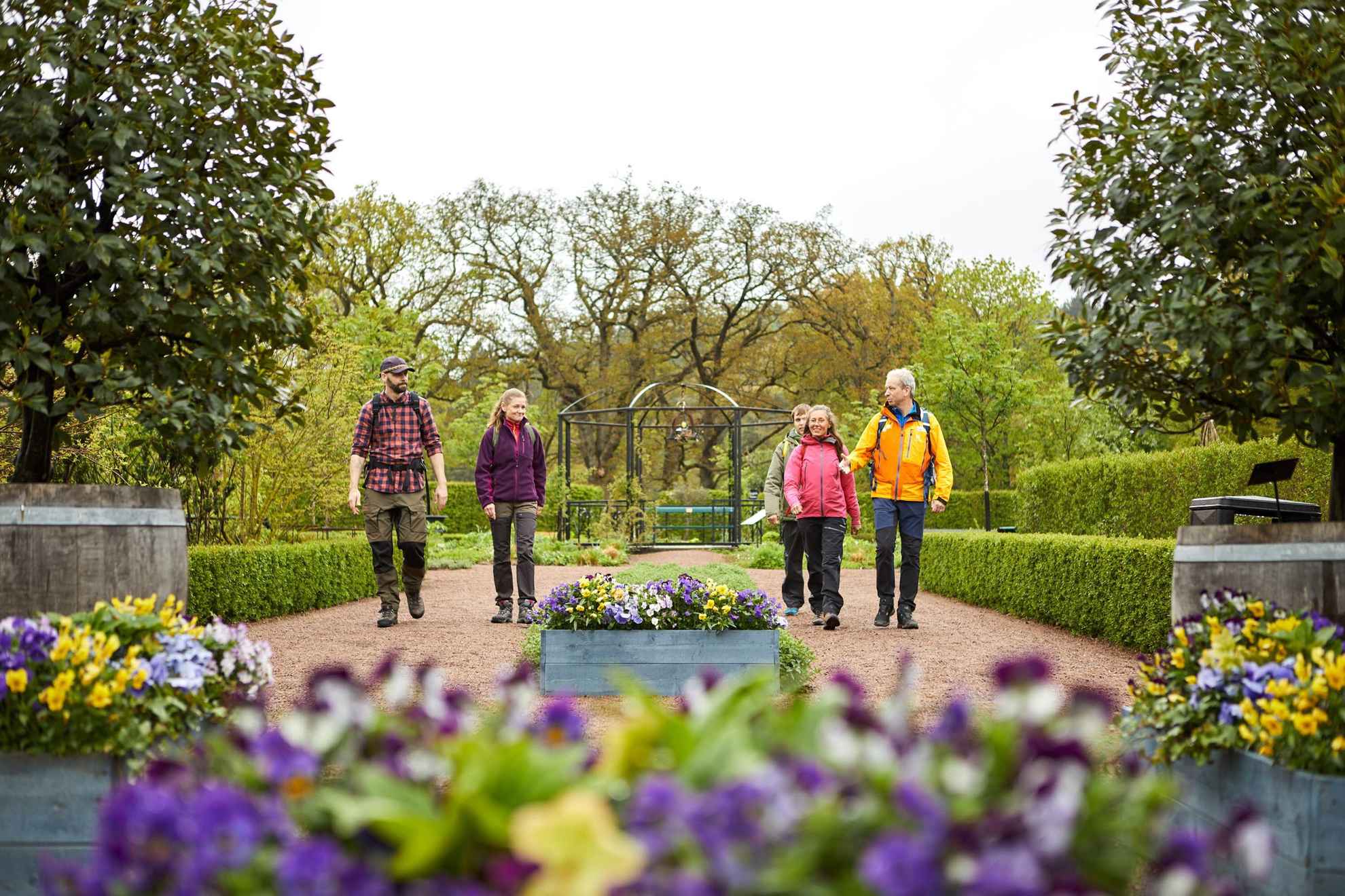 A group of five people walking in a beautiful arranged garden. Purple and yellow flowers in the front edge of the picture. In the background you see trees and greenery.