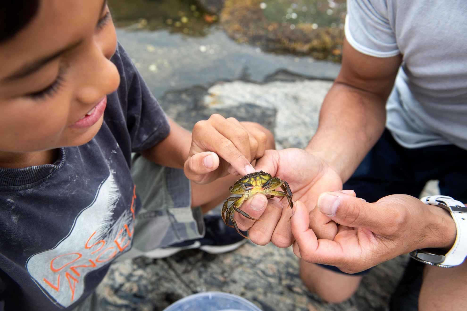 A man holding a crab while a boy is petting it.