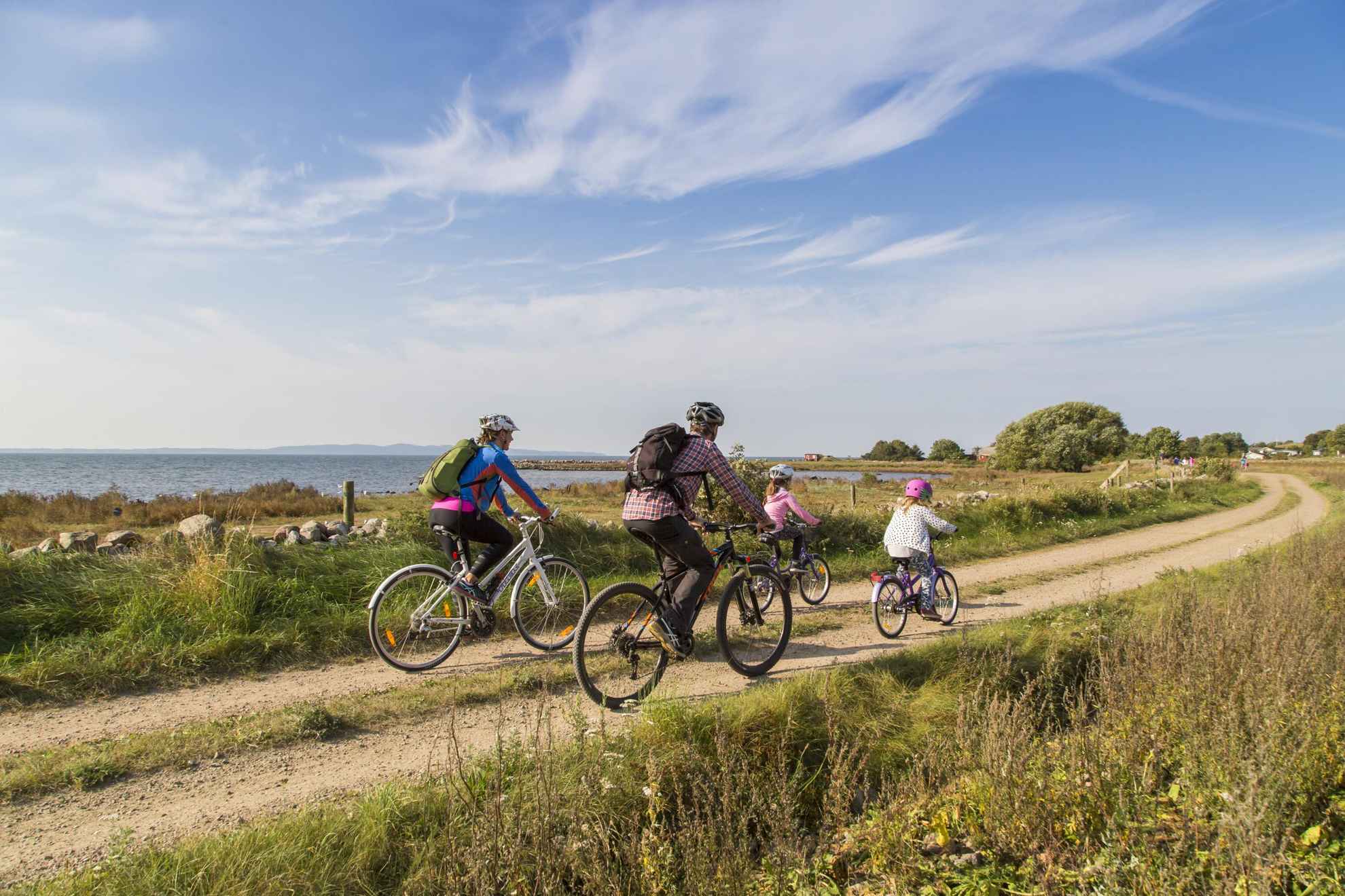 Two parents with two kids biking on a country road by the coast in Skåne.