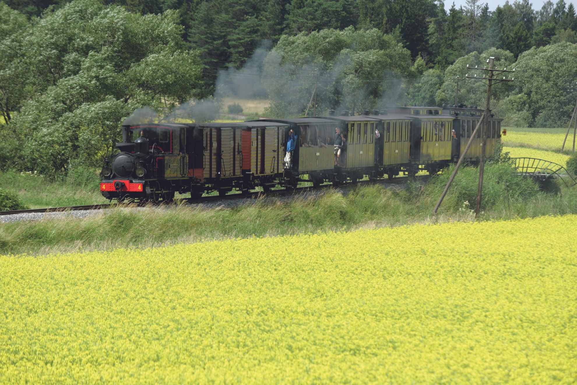 The train Lennakatten traveling between yellow meadows.