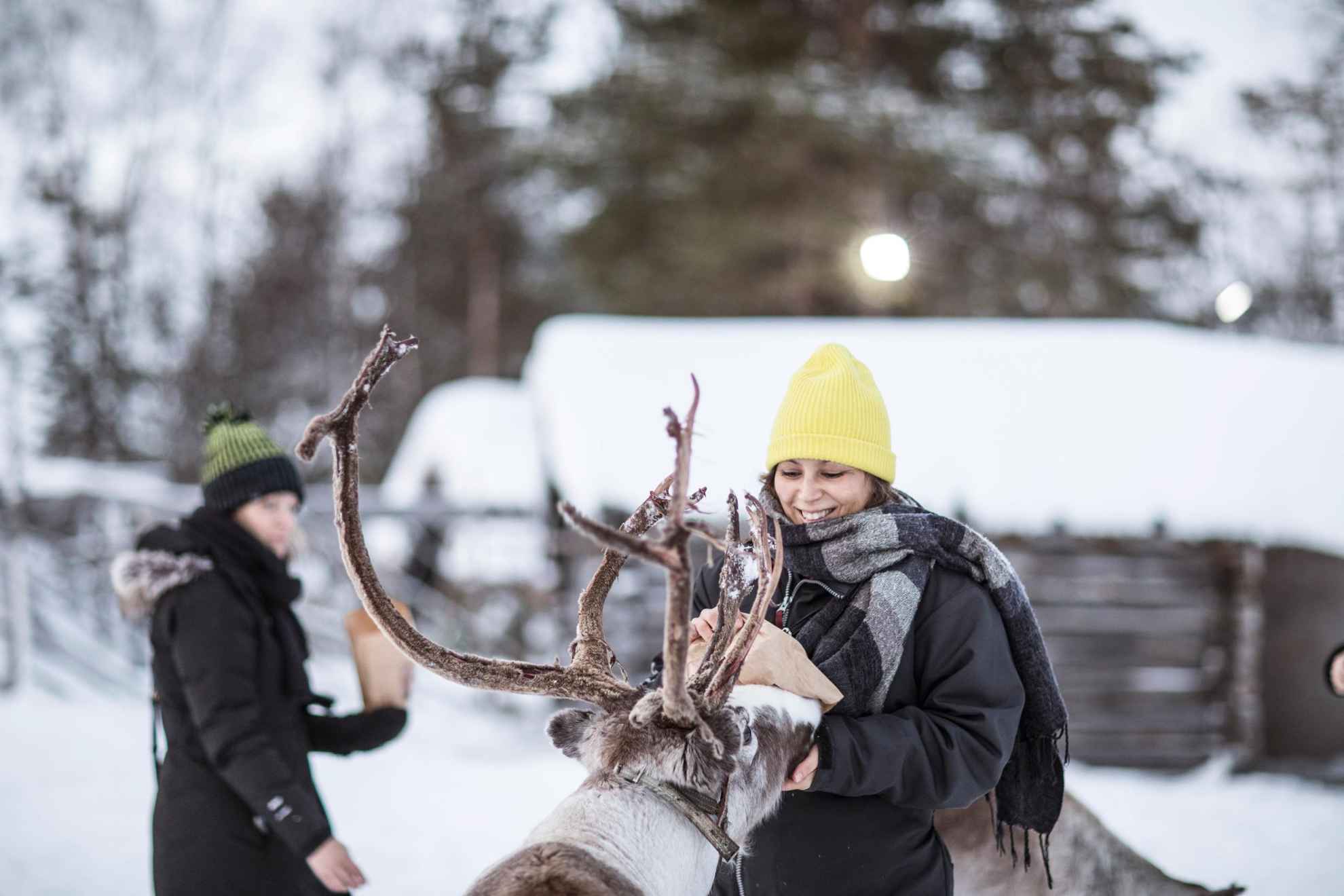 A woman is feeding a reindeer in front of a wooden cabin in a snow landscape.