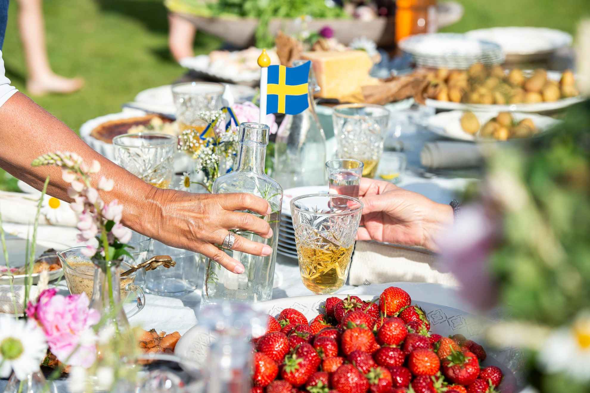 A table set for midsummer lunch with traditional food. A hand is holding a bottle of snaps and another hand is holding glass of snaps. In the foreground there is a bowl of strawberries.