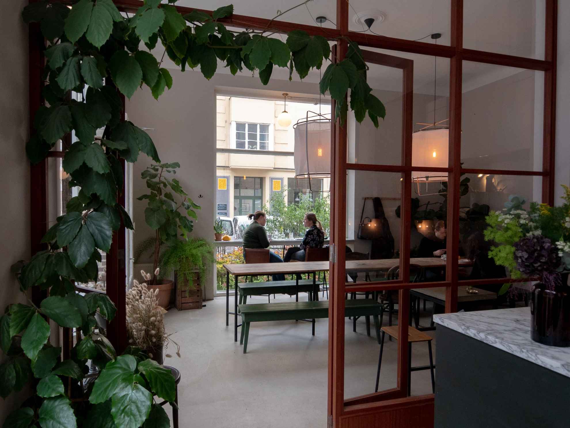 Inside a coffee shop. A room behind a glass wall with an open door. A long table with chairs and two big lamps in the middle of the room. Two girls sit by the window at the end of the room. A plant climbing the opening of the wall.