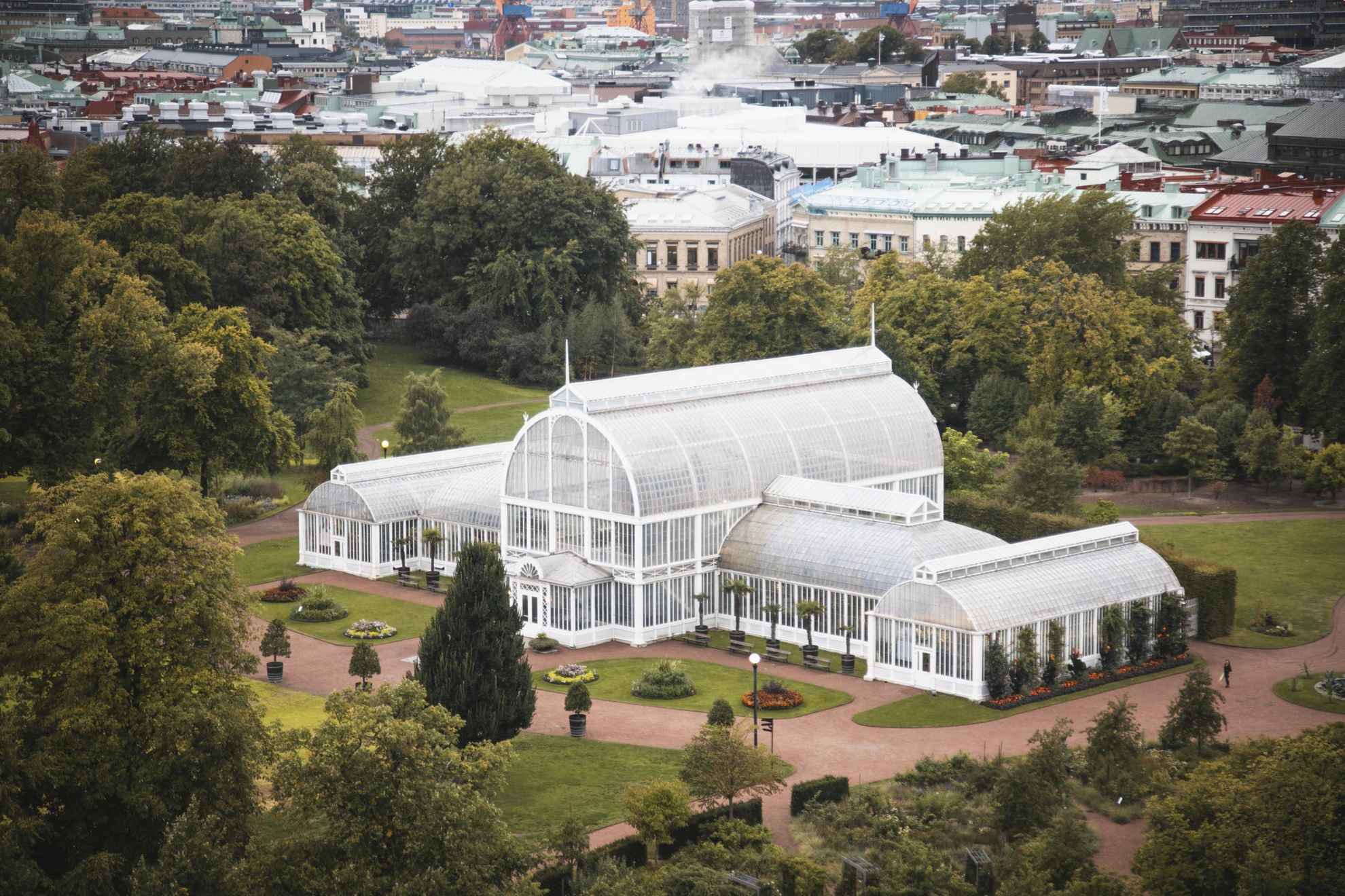 The Palm House in Gothenburg