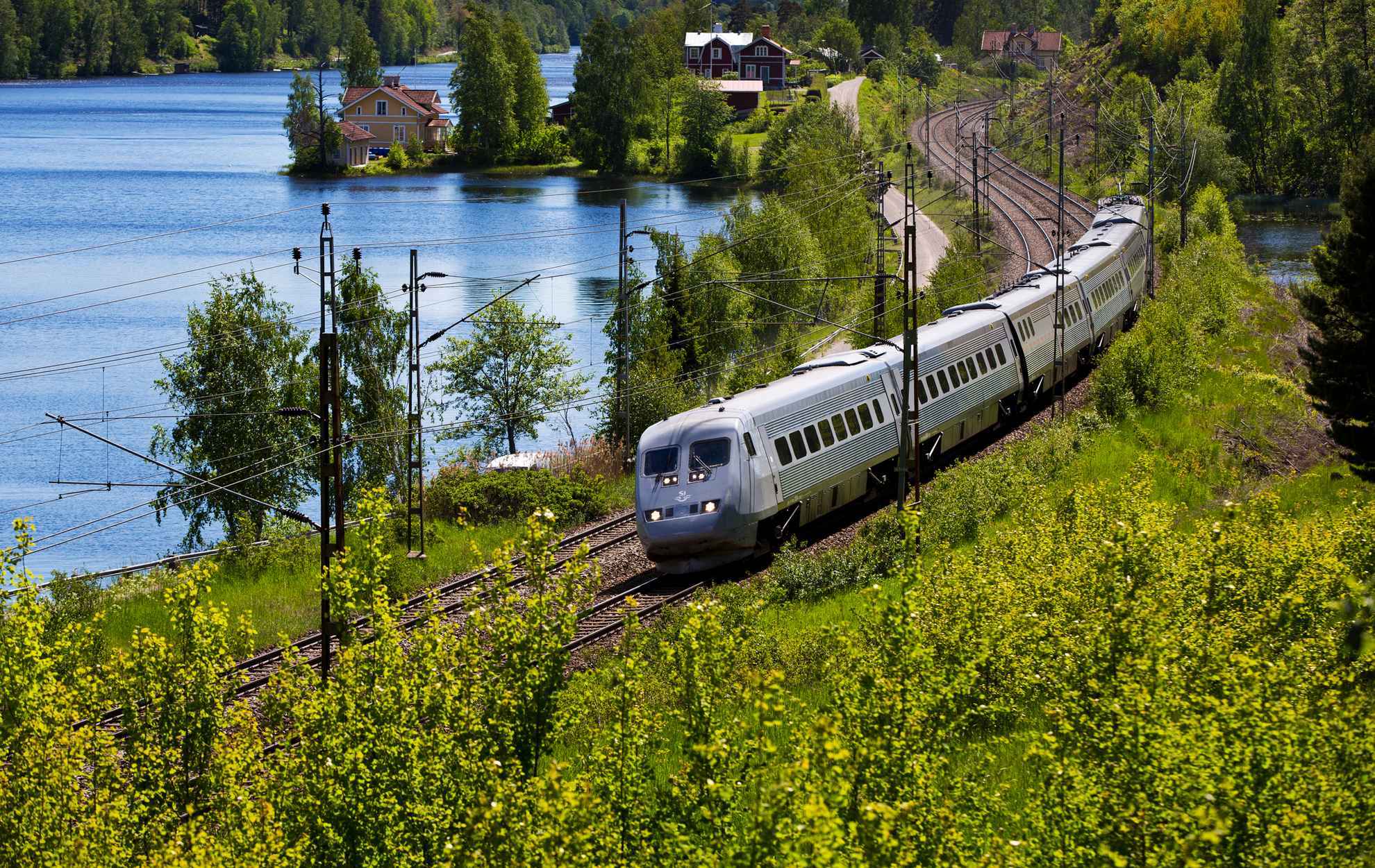 A train traveling by a lake during summer.