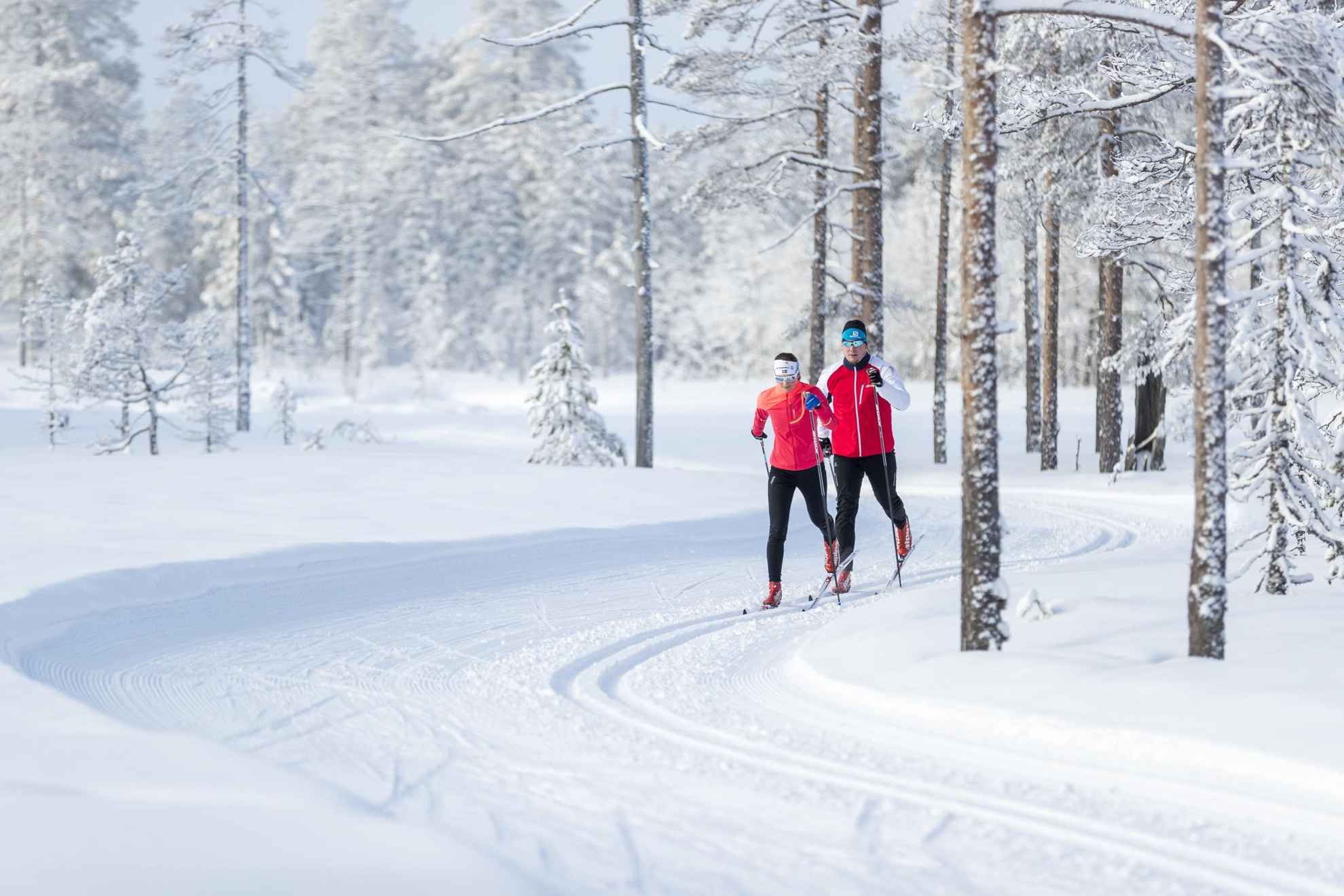 Two people in red jackets are cross-country skiing in a snow-covered forest.