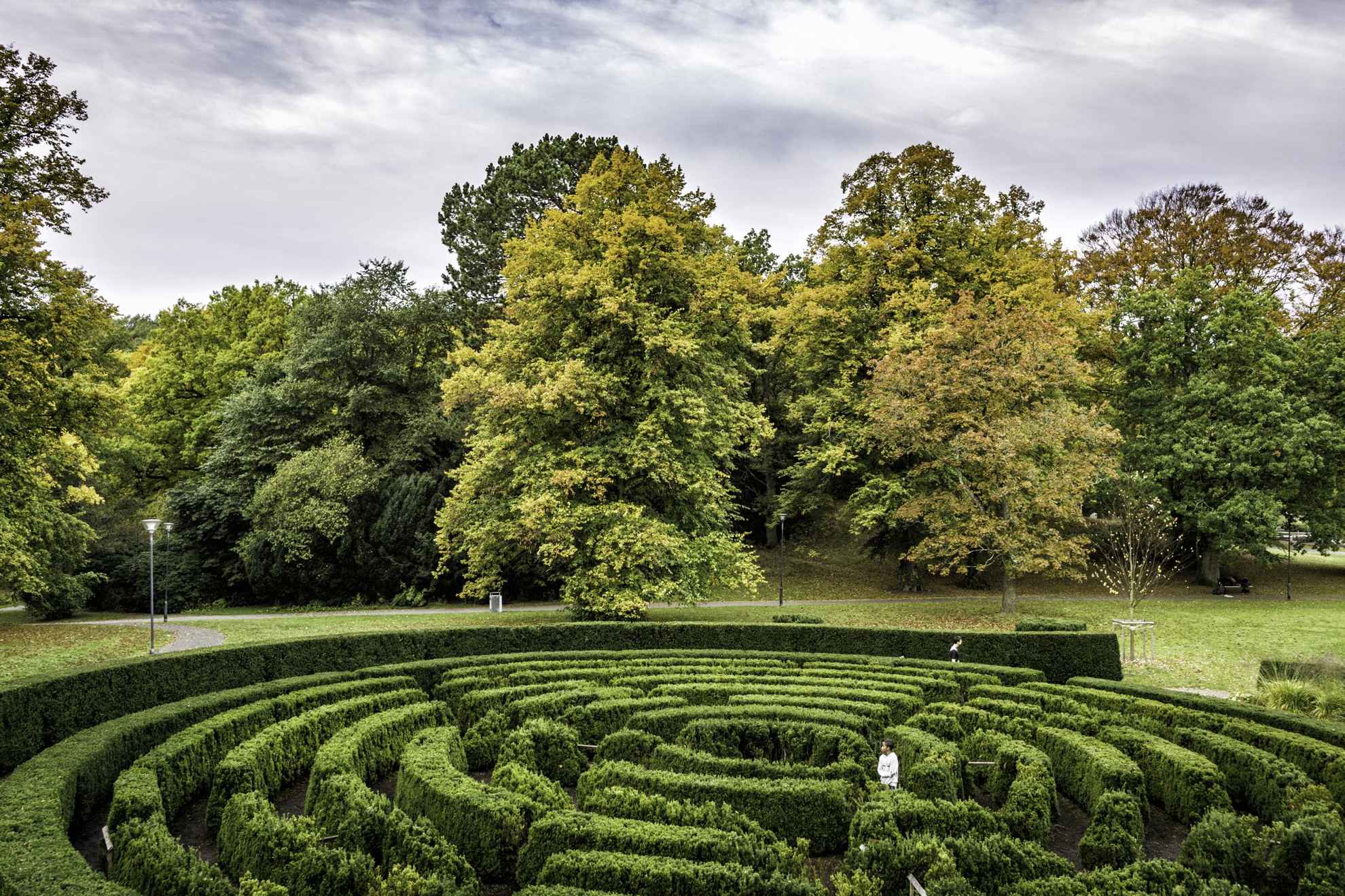 A hedge maze in a park during the summer.