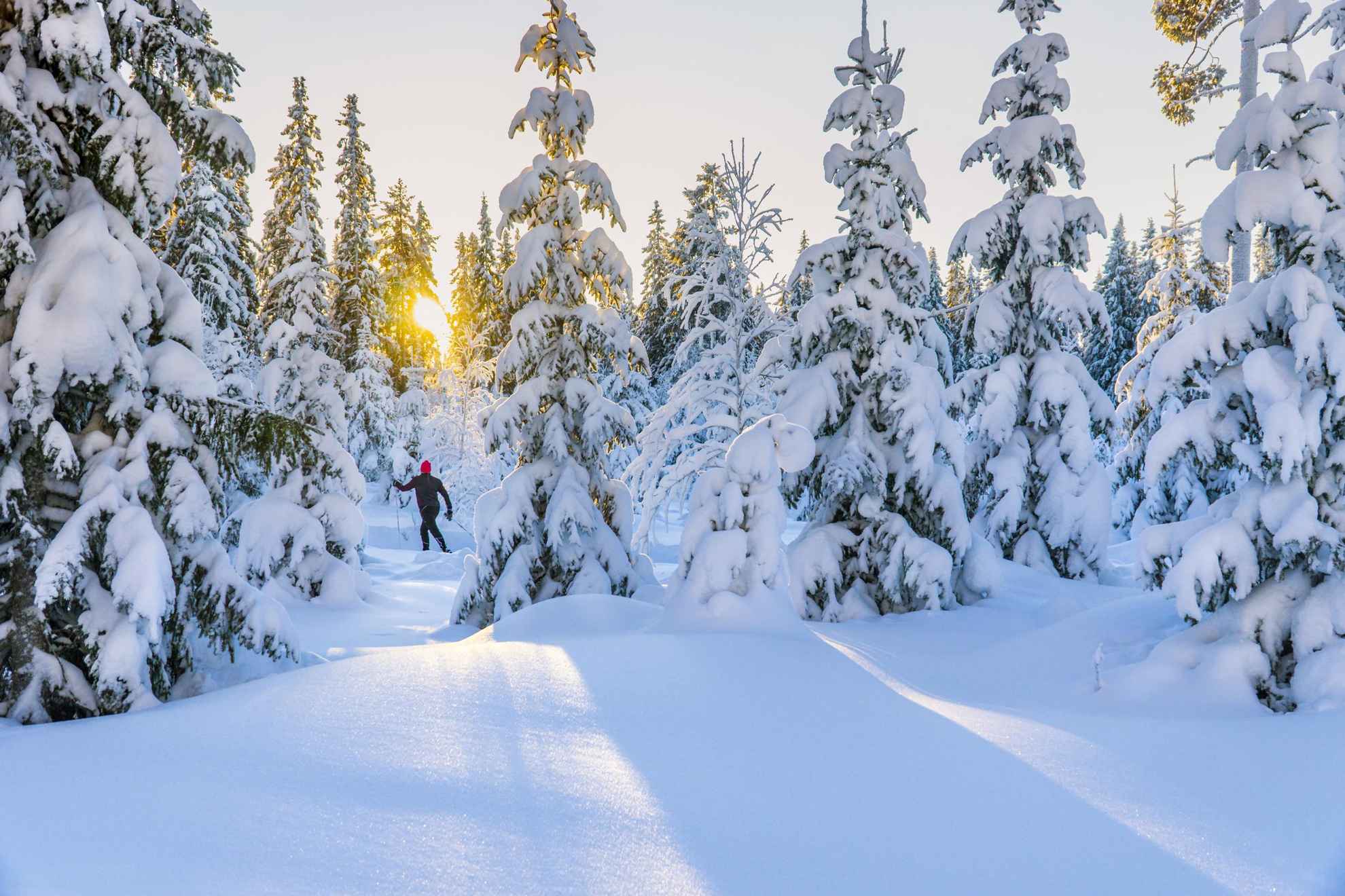 Cross-country skiing in Östersund