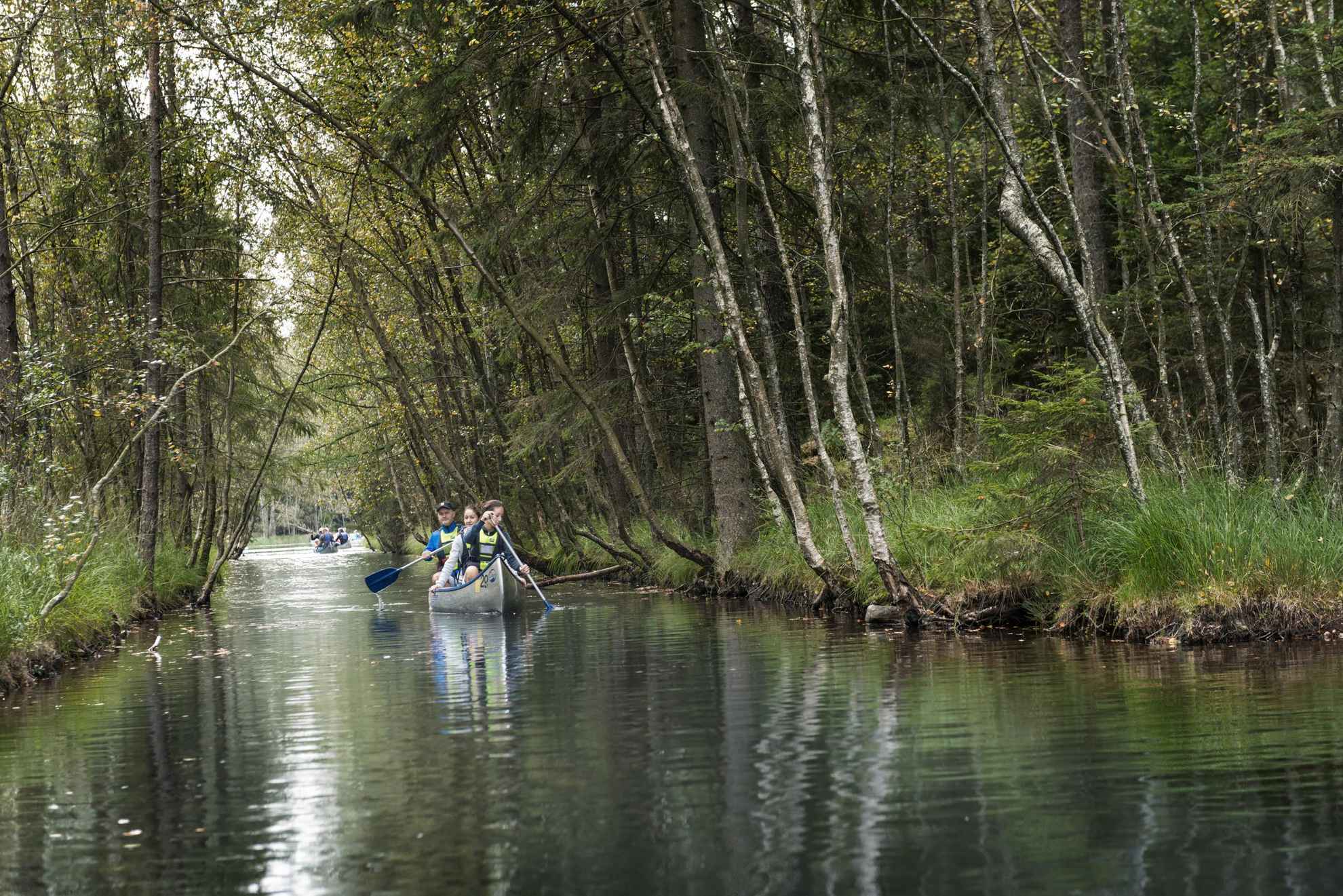Canoeing at Vättlefjäll nature reserve