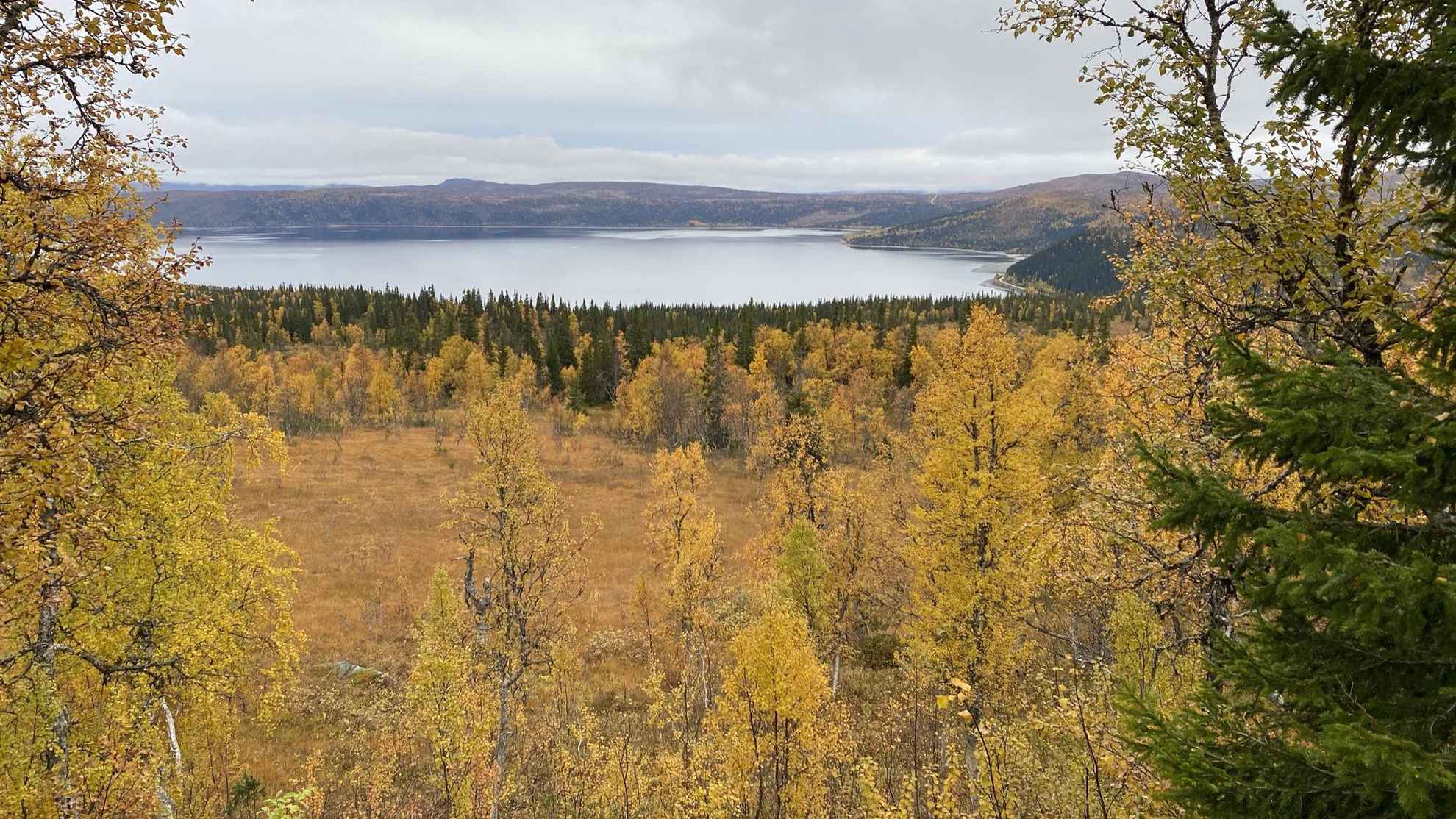 A lake is surrounded by mountains and forest. The trees have yellow and orange autumn colours.