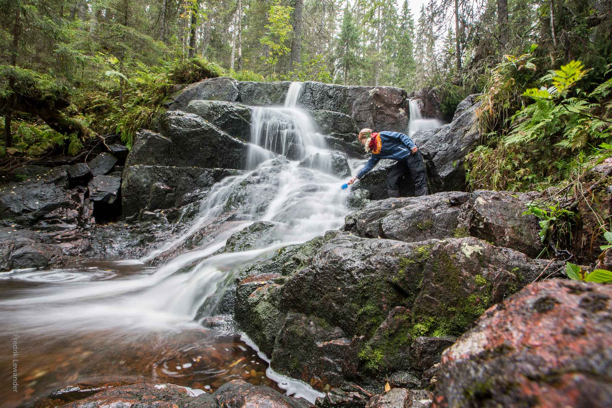 A person is trying to take water from a stream into a lush forest.