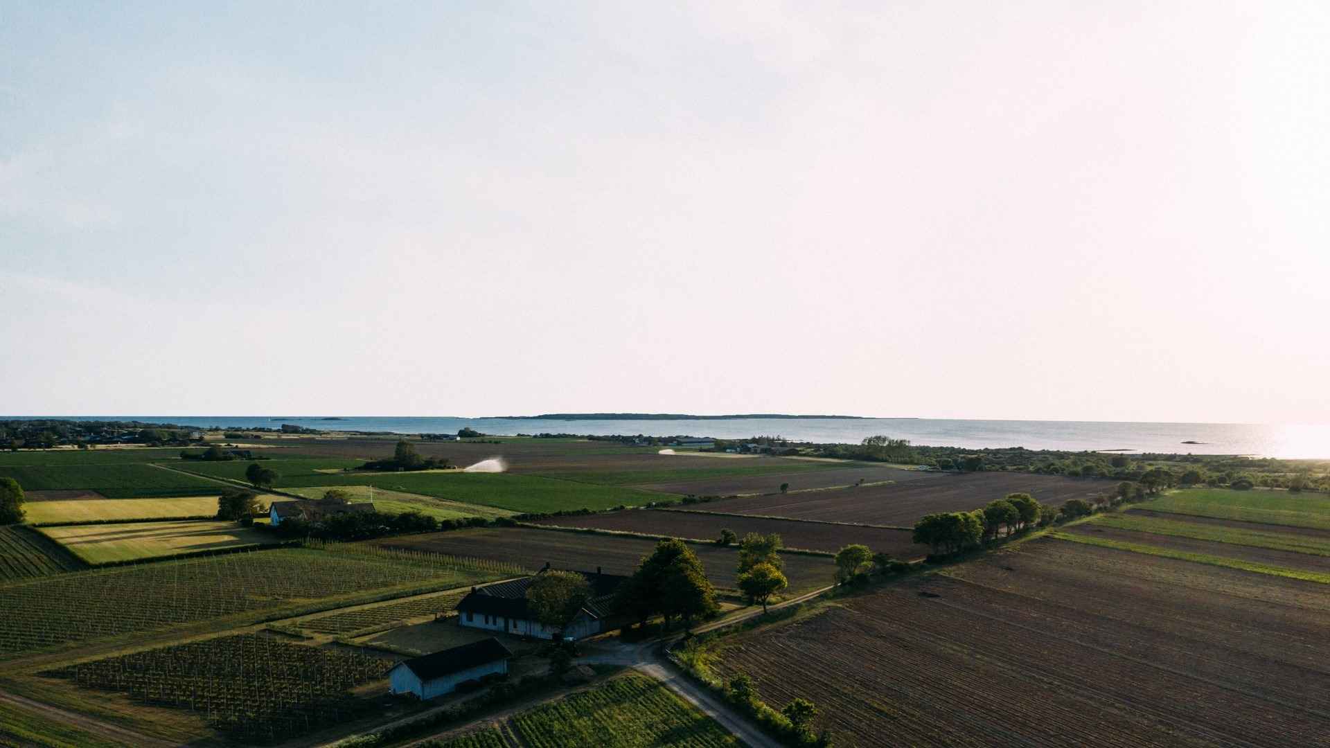 Aerial view of Thora Vineyard overlooking the sea.