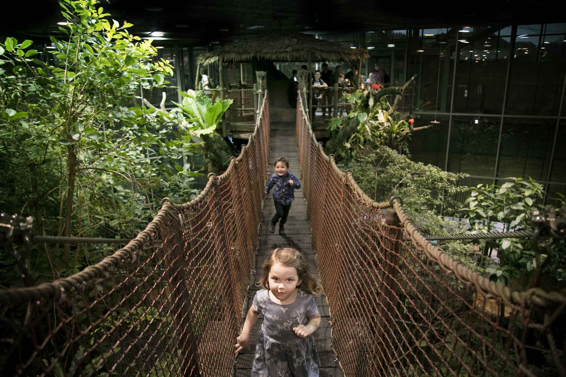Two children running cross a suspension bridge in the science center Universeum.