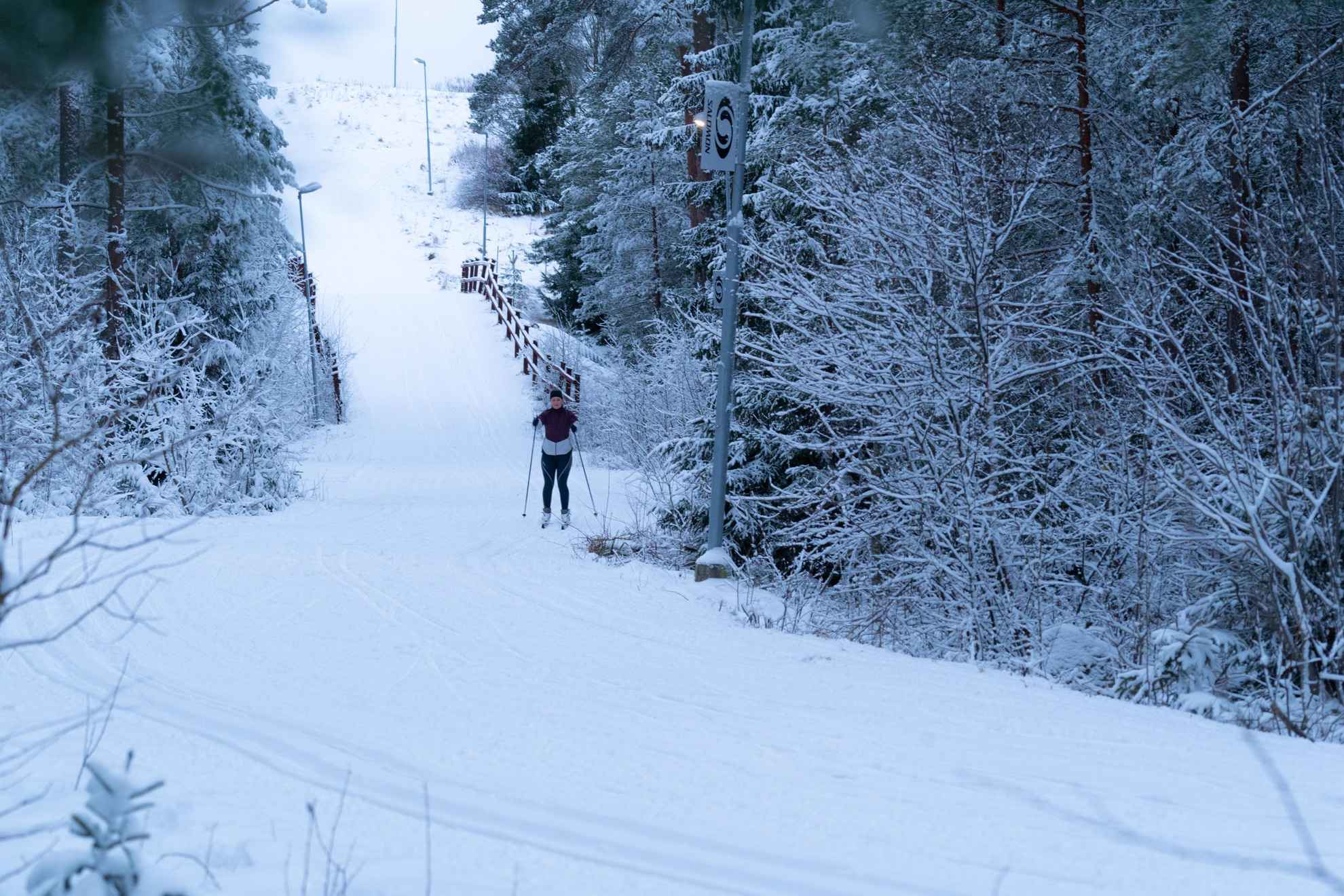 A person is cross-country skiing in prepared tracks in nature.