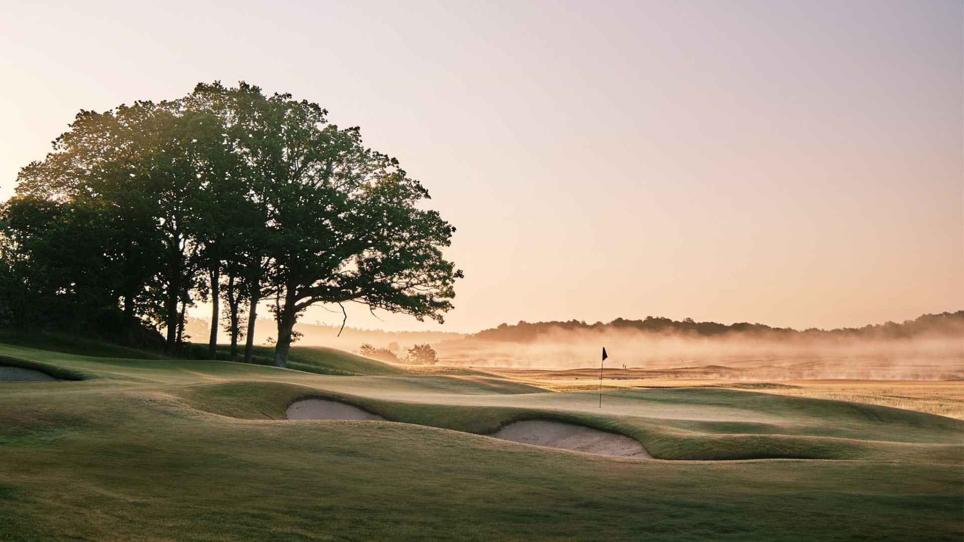 Golf course during a misty morning with a fairway, bunker, putting green, and also some trees.