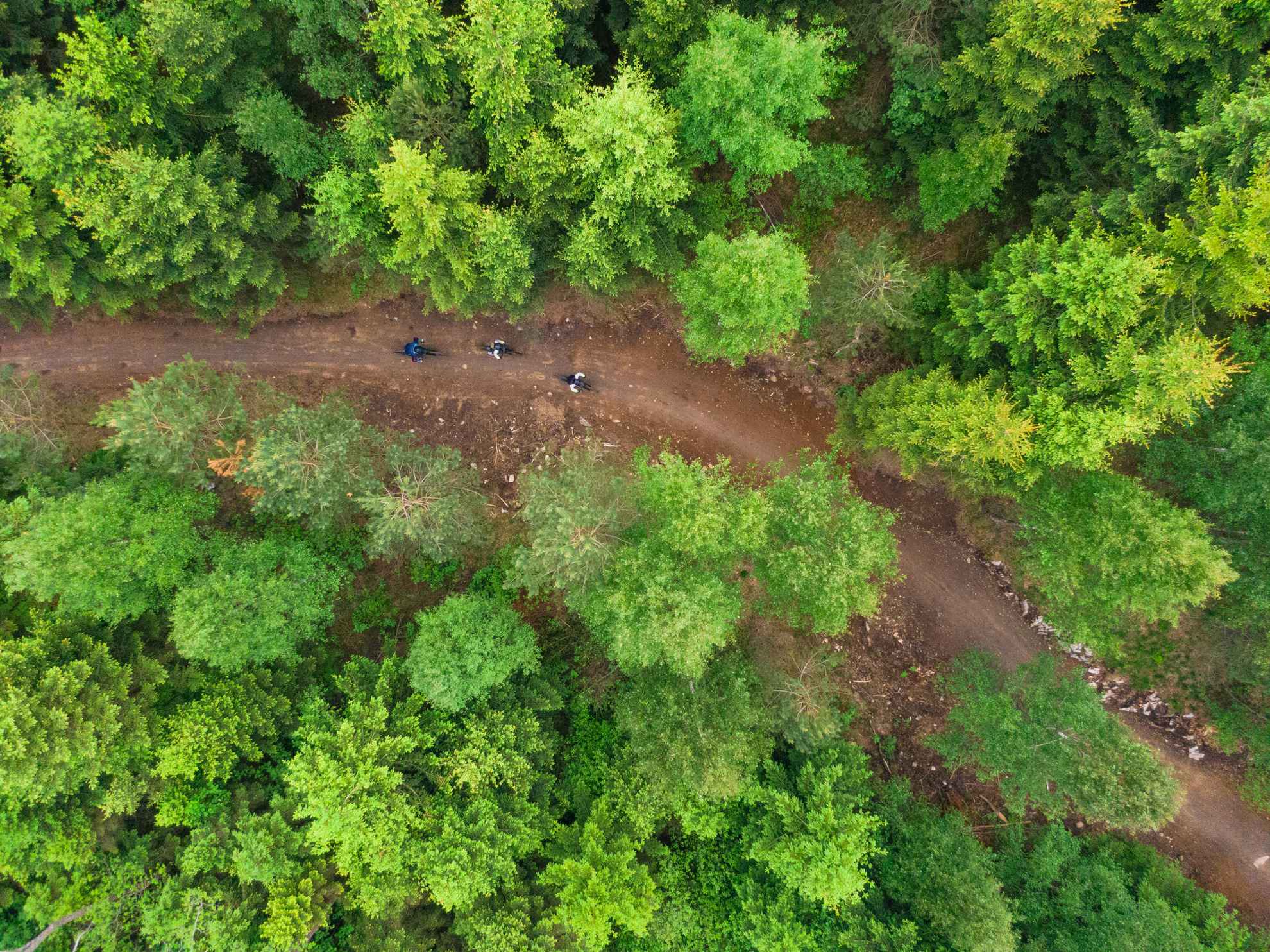 A biking trail winding through the green forest, seen from above.