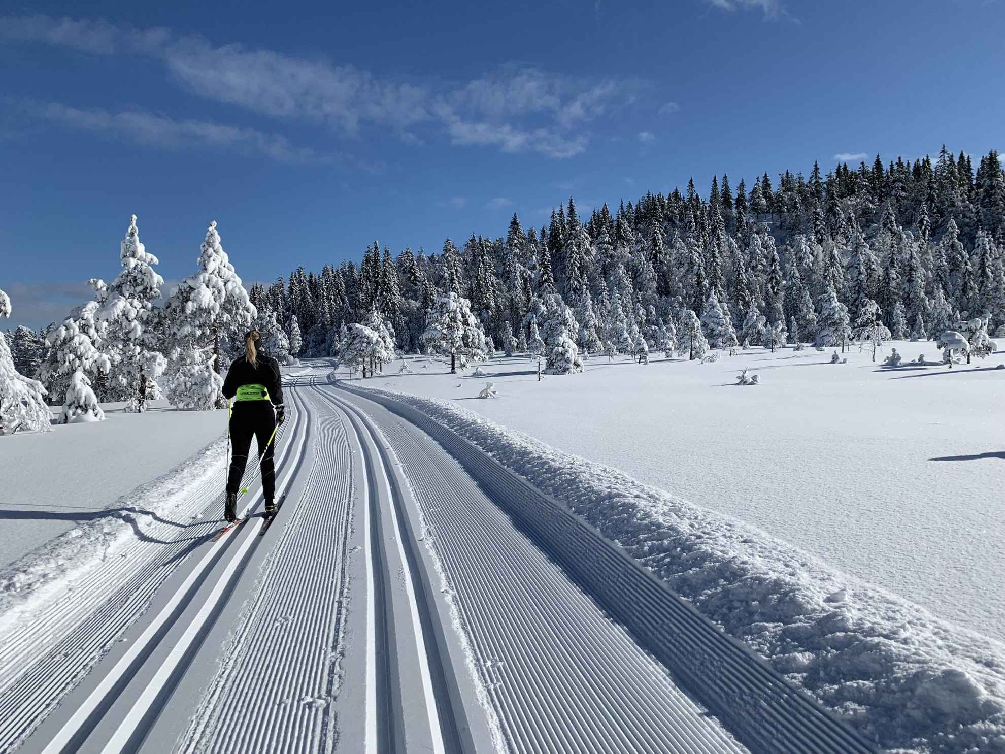 A woman is cross-country skiing in prepared tracks in the snow in the nature.