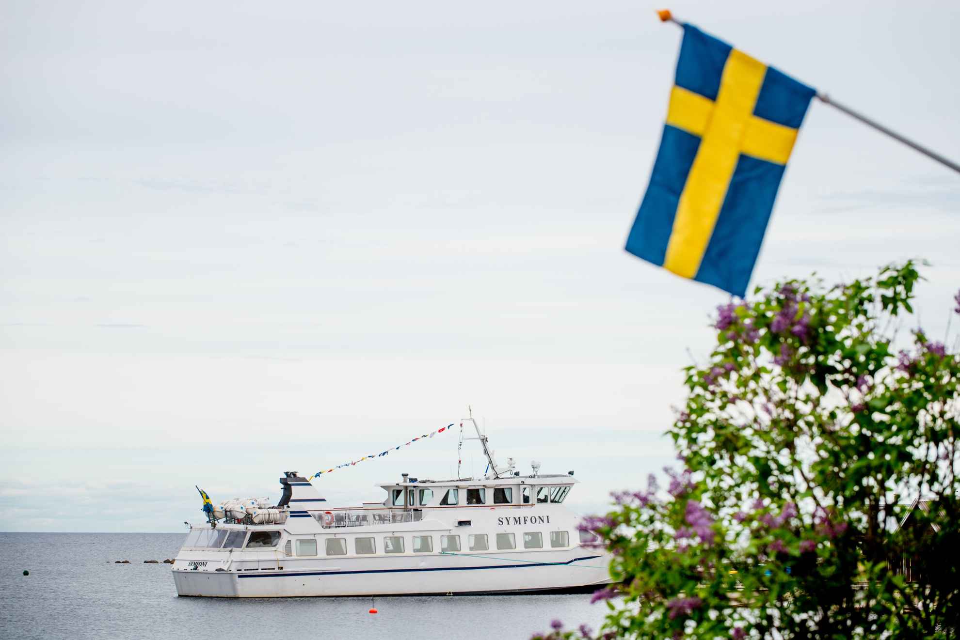 A boat named Symfoni floats in the water, with a Swedish flag and purple flowers in the foreground.