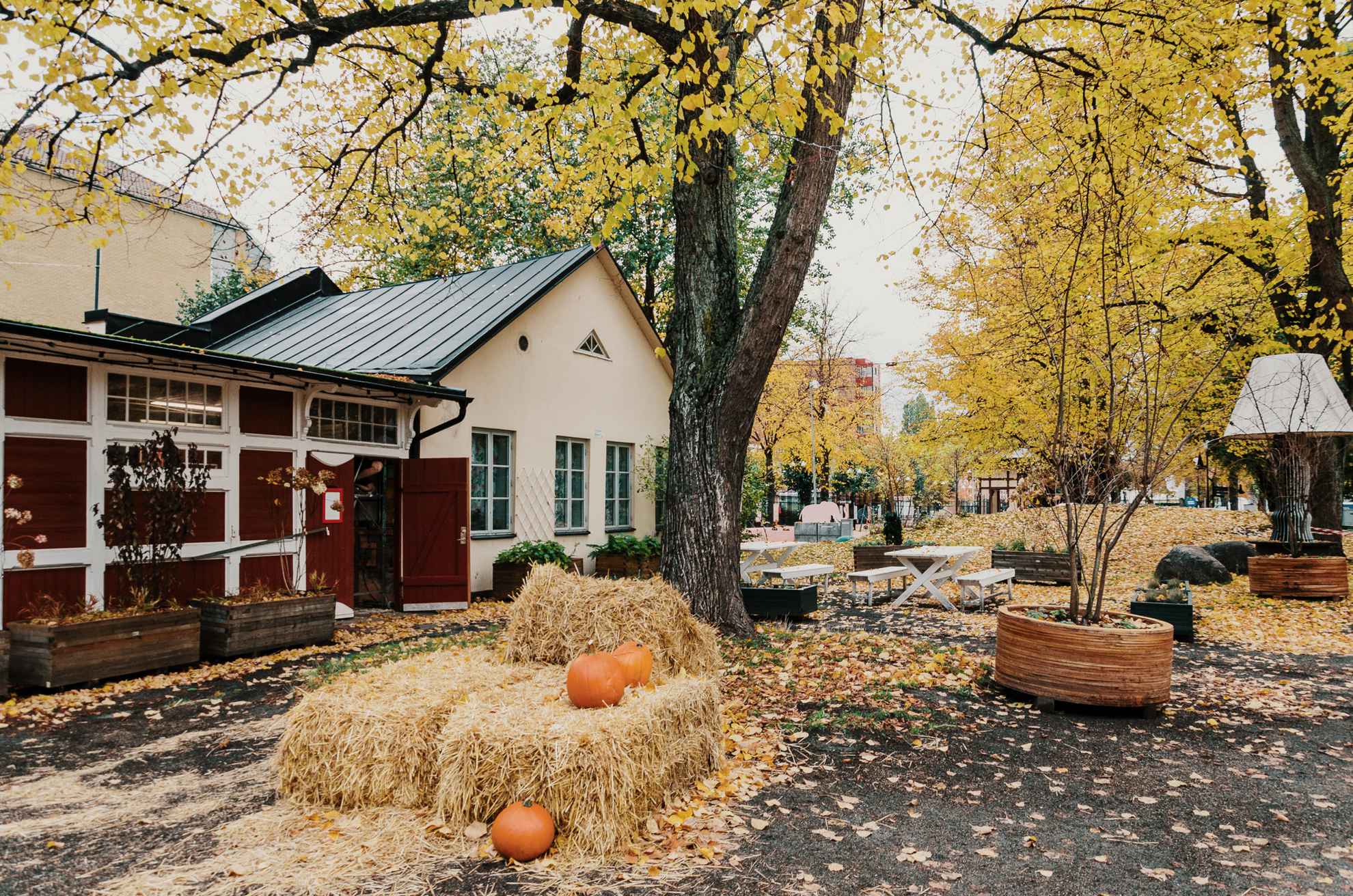 Some pumpkins and hay decorations in a  park