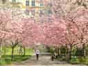 Spring in Sweden | Visit Sweden