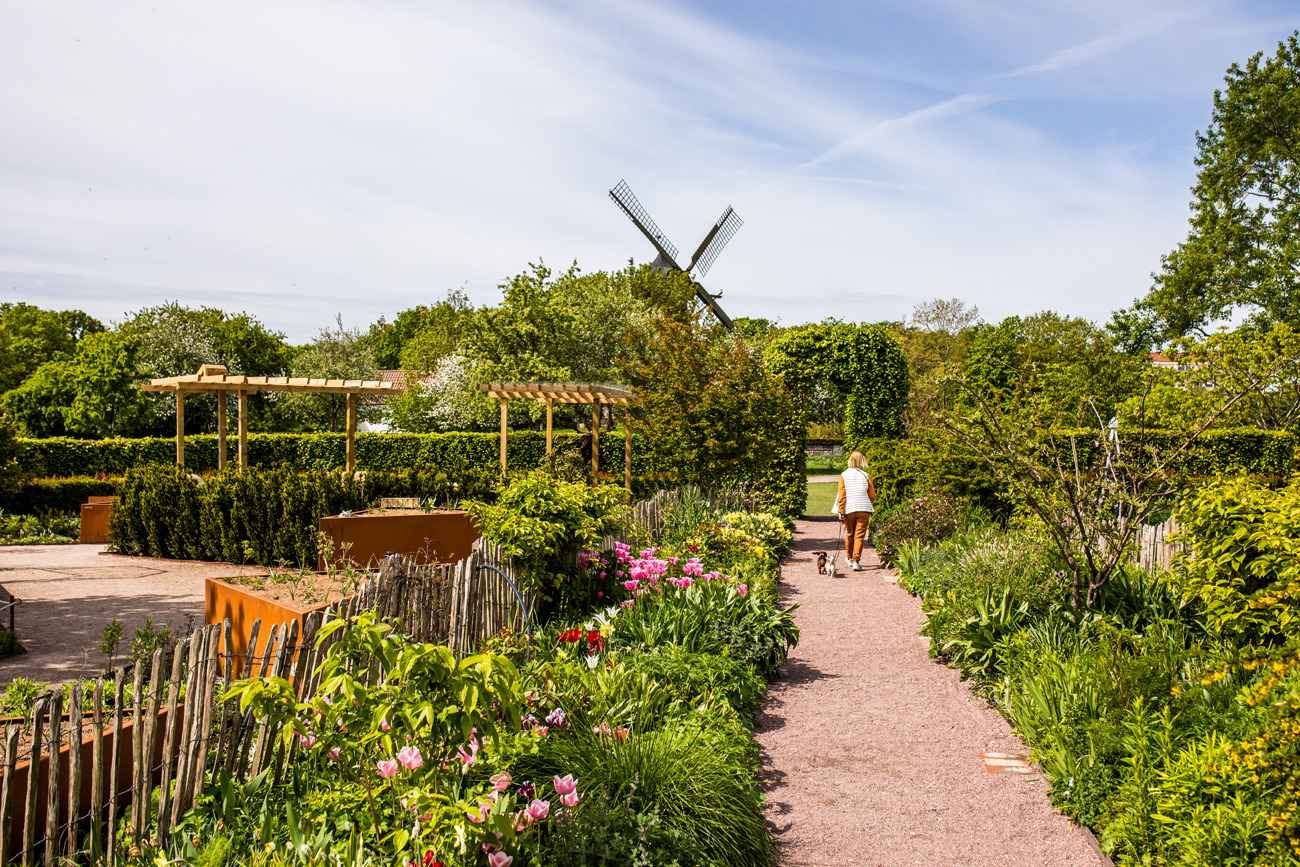 A person walking on a narrow gravel road through a green castle garden. A windmill is seen in the background.