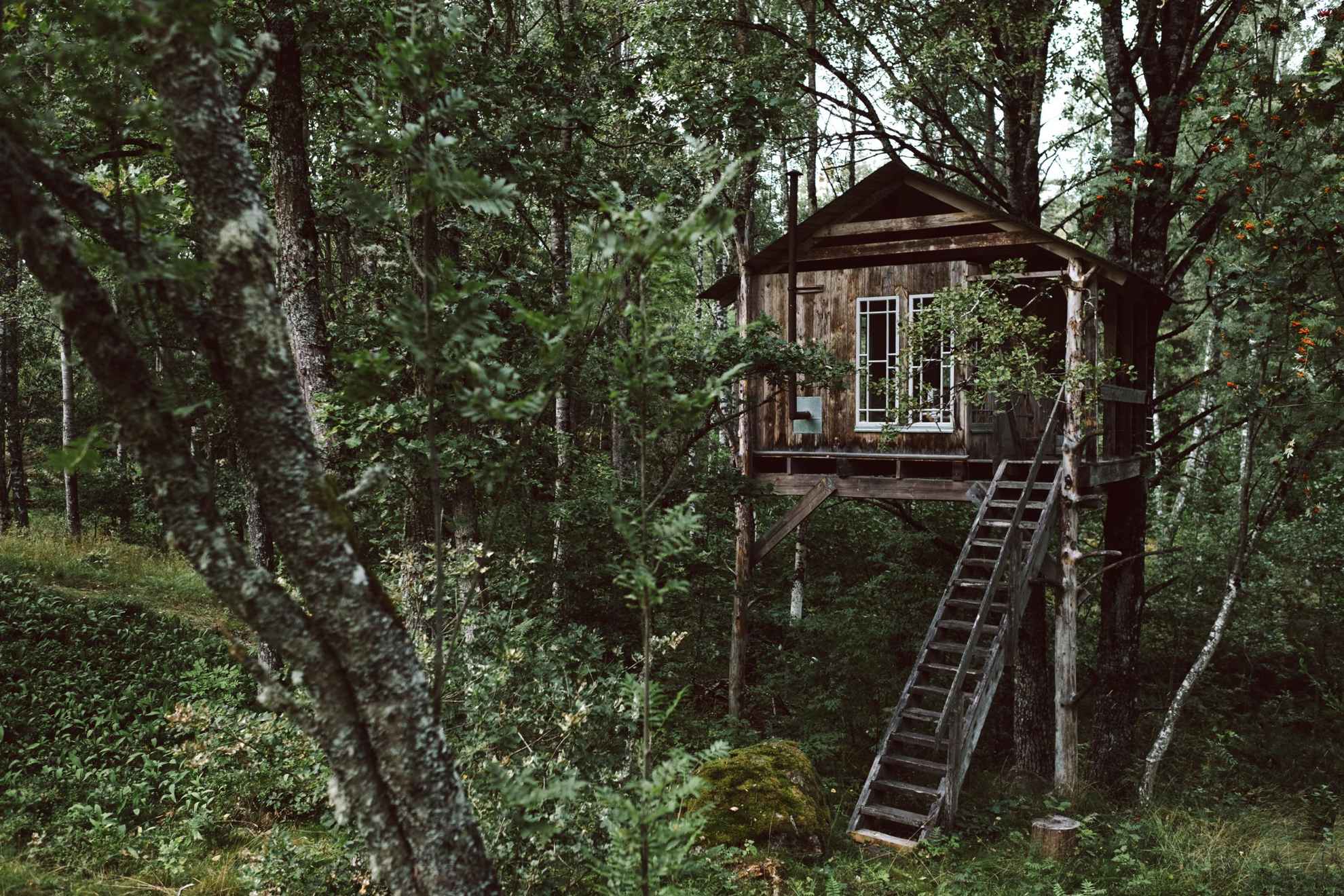 A wooden tree house surrounded by trees during summer.