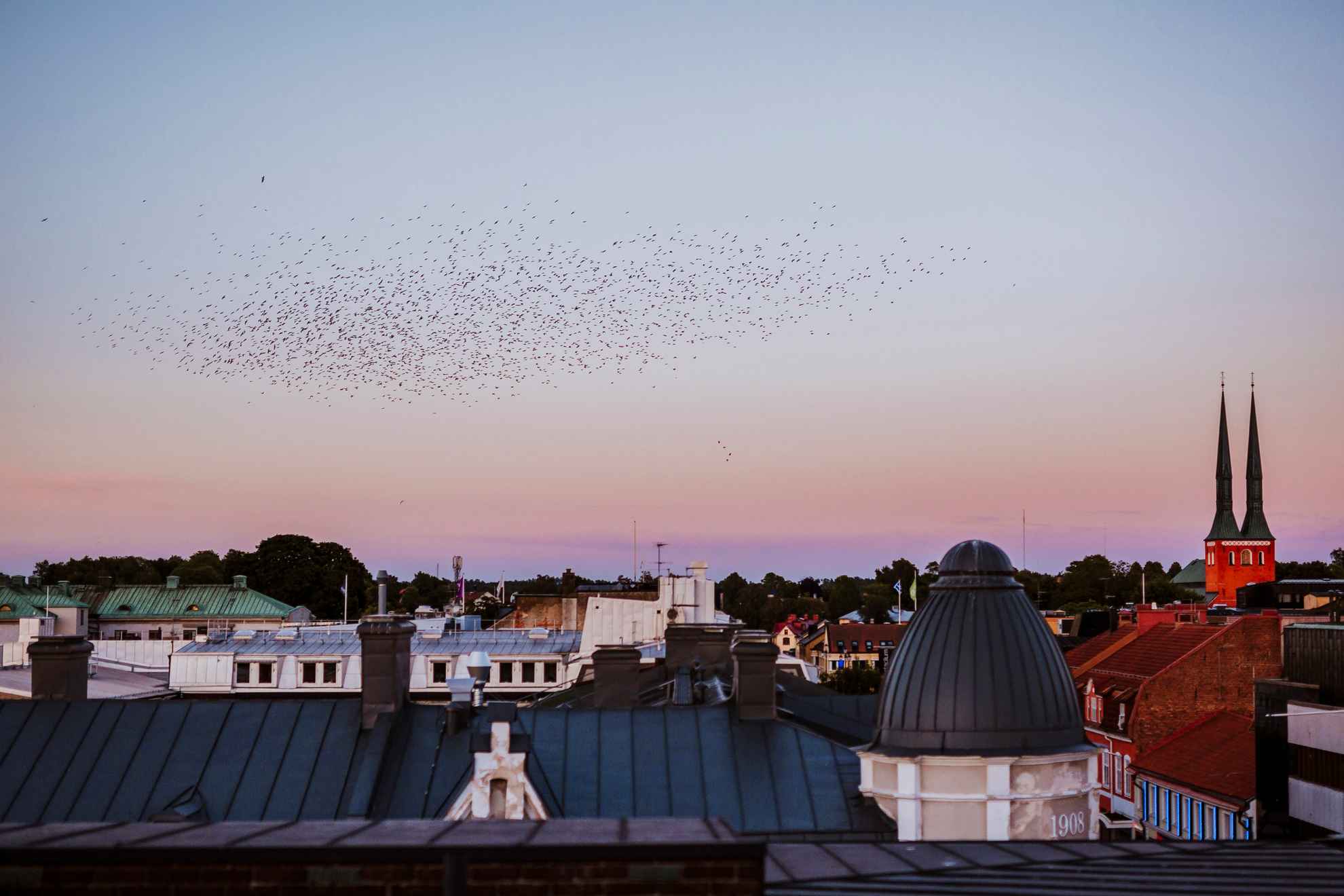 View of Växjö's rooftops at dusk. A flock of birds flies across the sky.