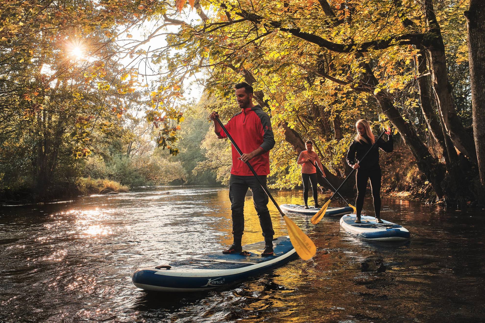 Three persons are each standing on a paddleboard, holding their paddles. The surrounding trees have leaves shifting from green to yellow and orange, giving hints of autumn. The sun is shining through the leafy branches.