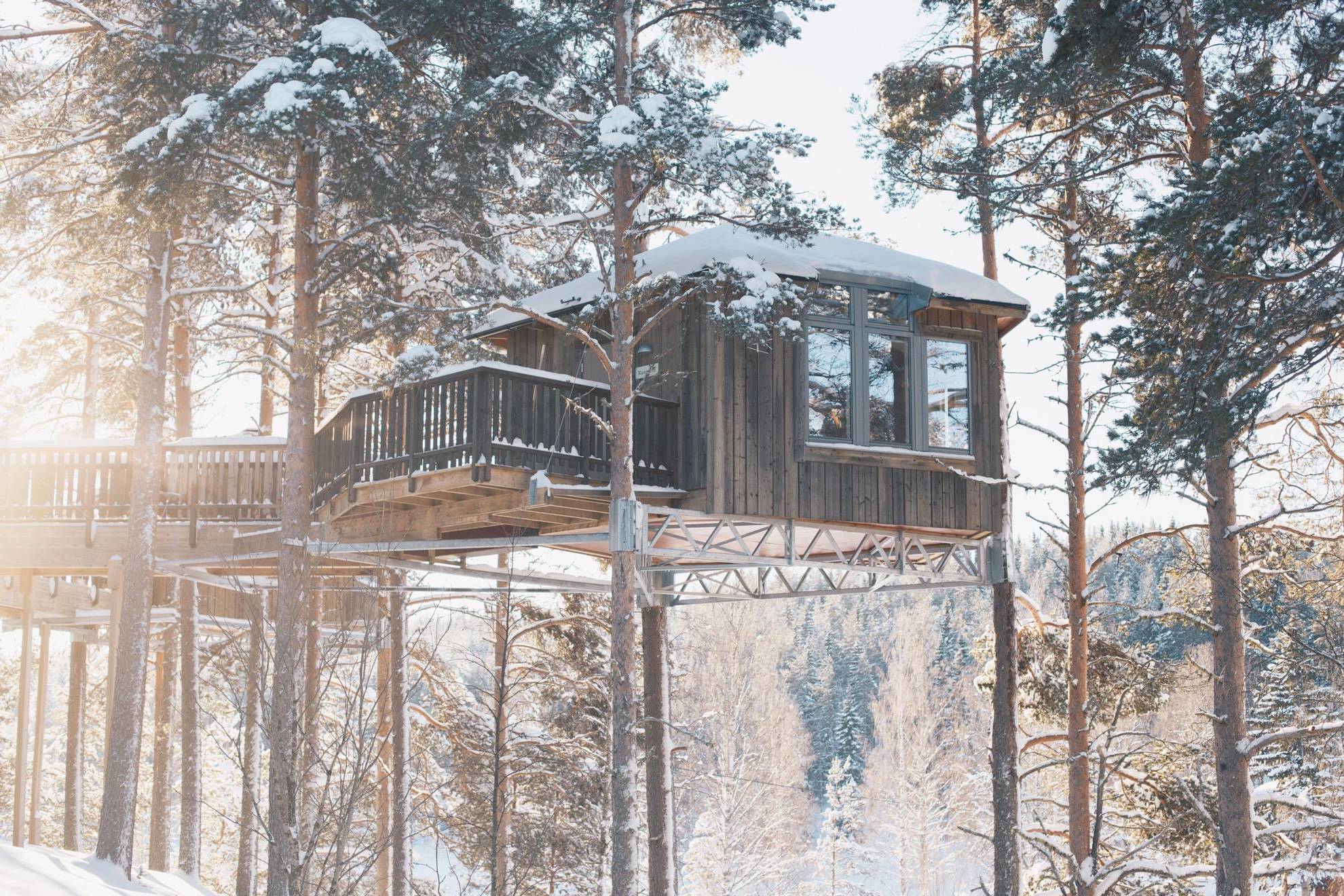 A wooden tree house in a snowy winter environment in the forest, seen from below.