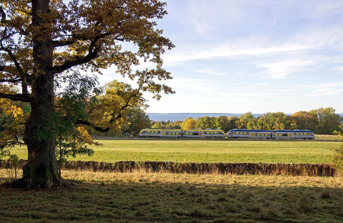 A train goes by a field during autumn.