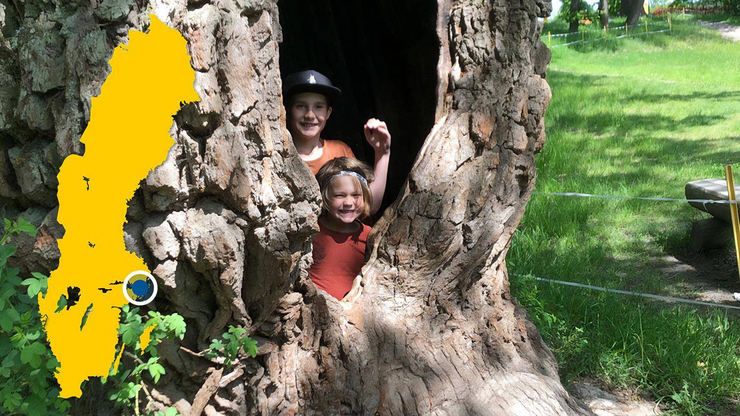 Two children stand in a cavity in a large tree and smile at the camera. There is a yellow map of Sweden with a blue dot that marks Ektorp.