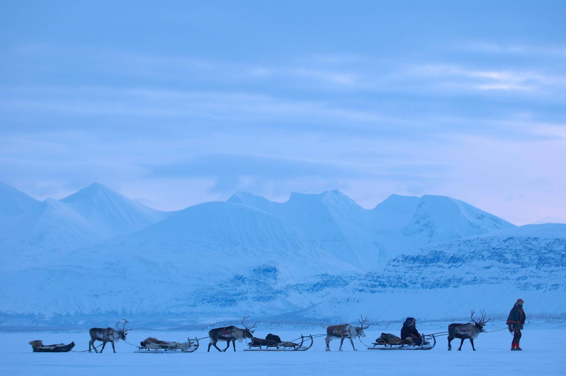 A man is leading a number of reindeer with sleds through a winter landscape of snow and ice.