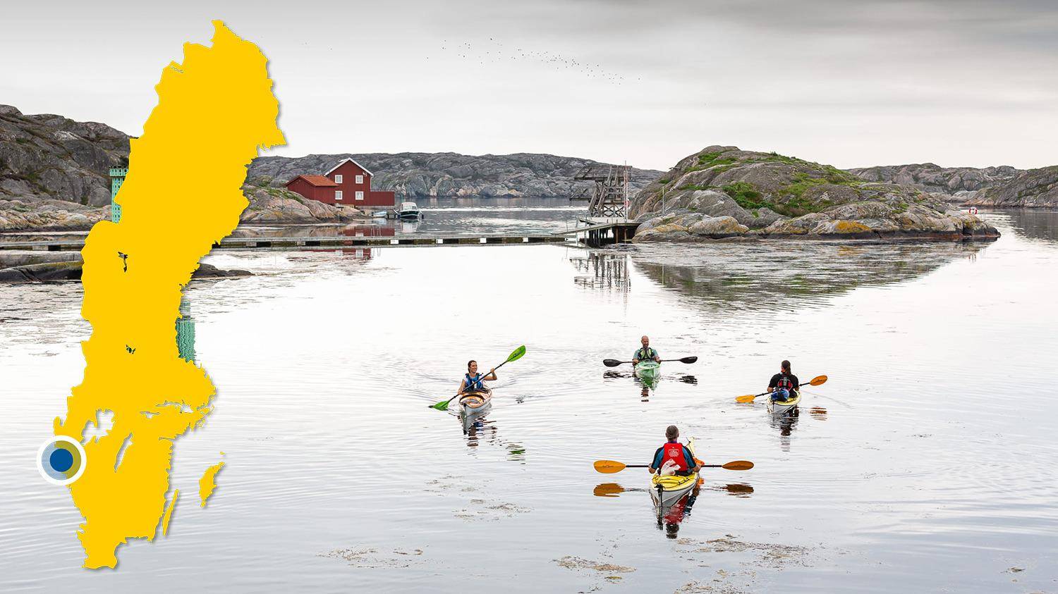 Four people kayaking in the archipelago. There is a yellow map of Sweden with a blue dot that marks the location of Skärhamn.