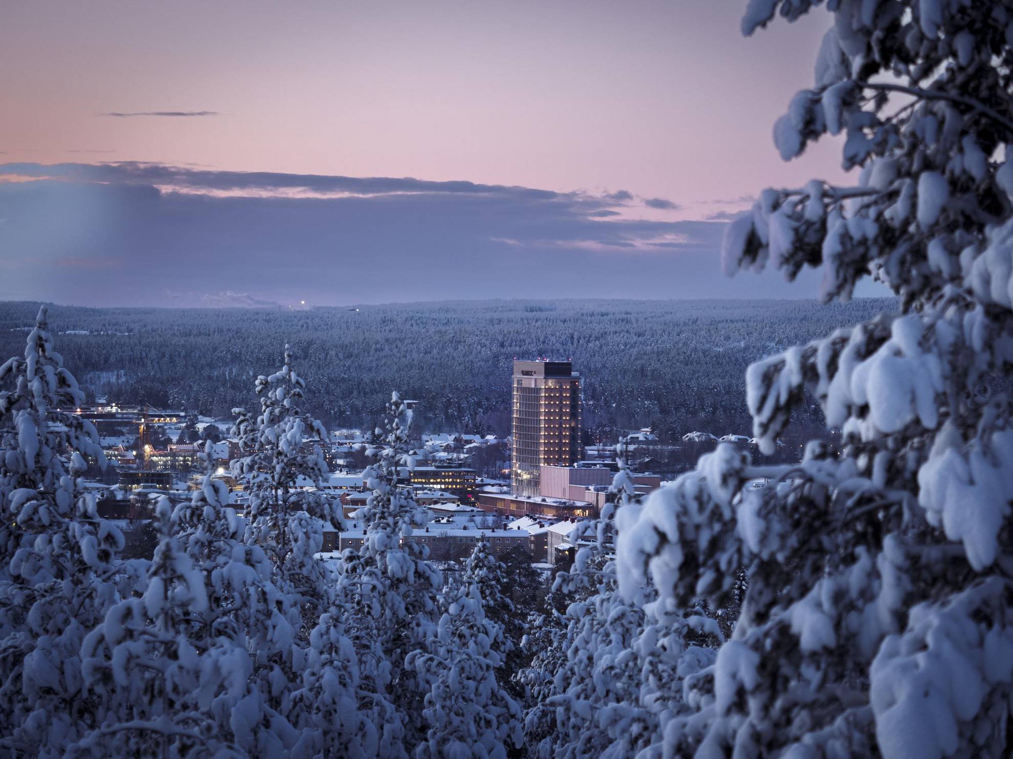 A snow covered city surrounded by trees is seen from afar. The Wood Hotel is the tallest building in the city.