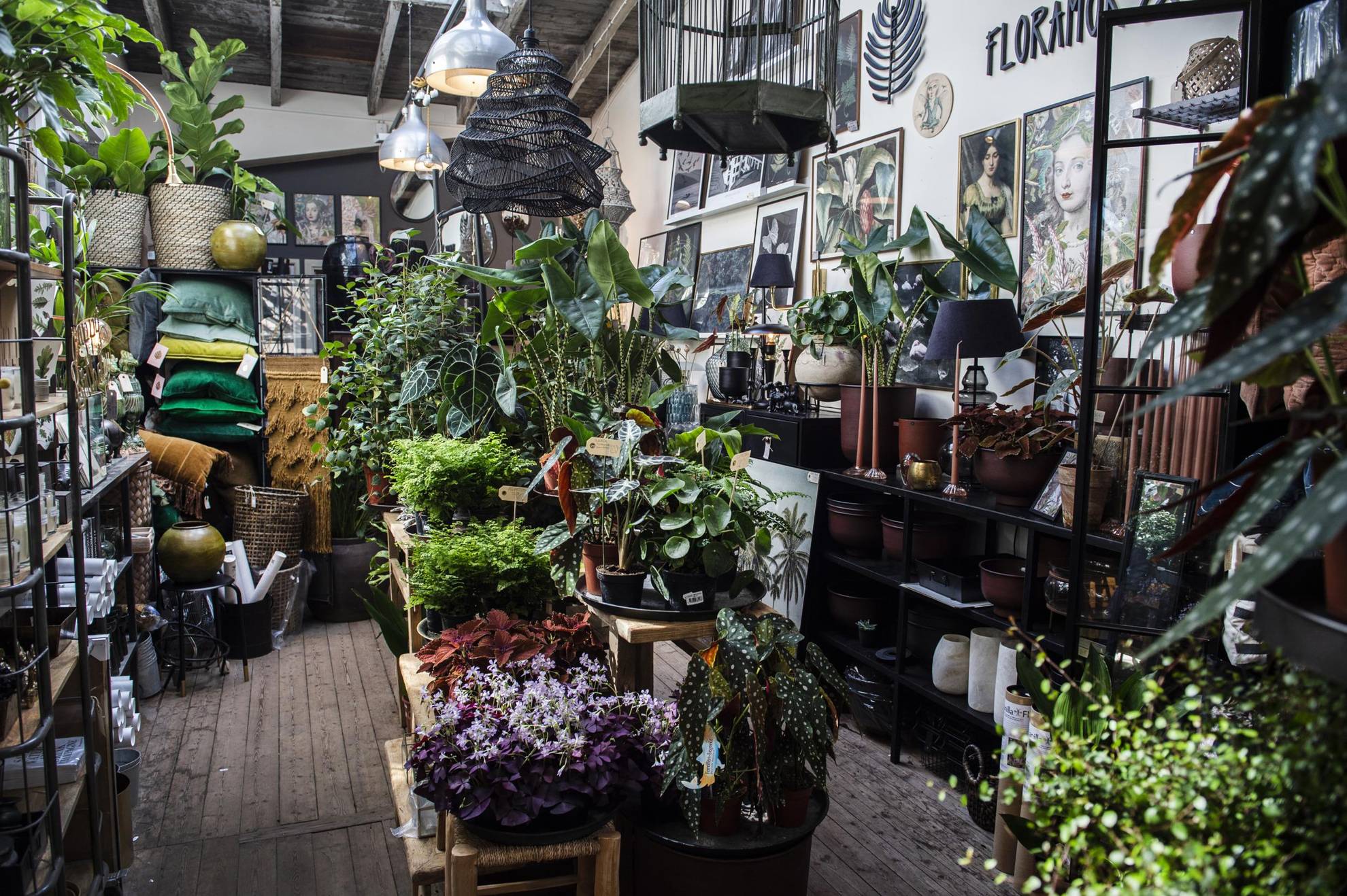 The cosy flower shop Floramor & Krukatös located on Vallgatan in Gothenburg.