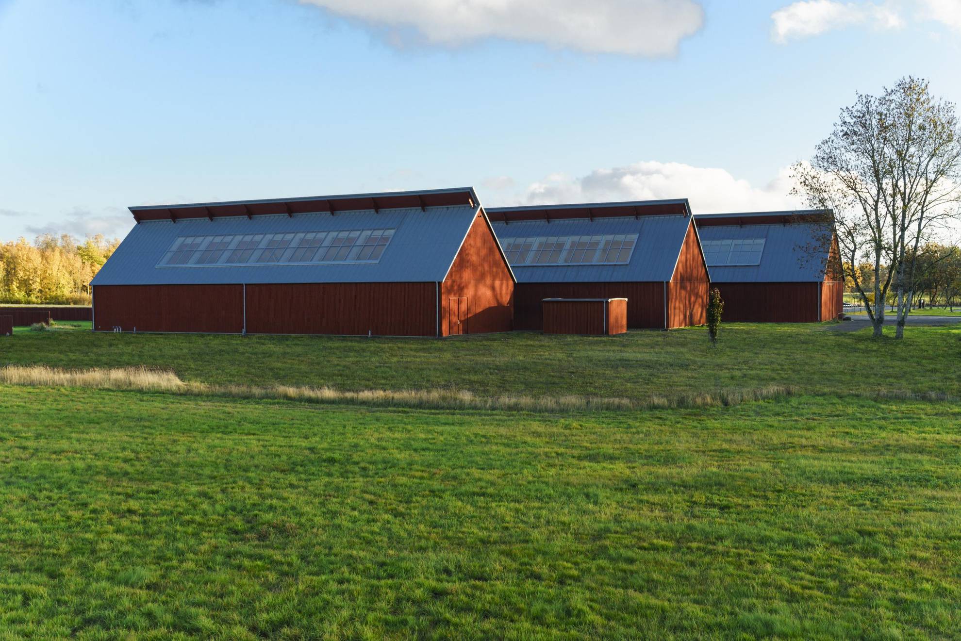 The three wooden barns of Vandalorum, located on a grass field.