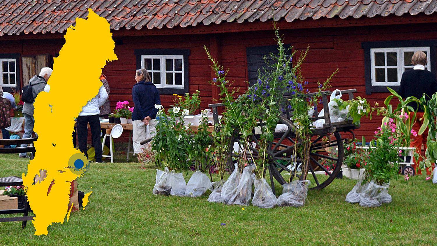 Flowers on a green lawn in front of a red timber house. A yellow map of Sweden with a marker showing the location of Björksta.