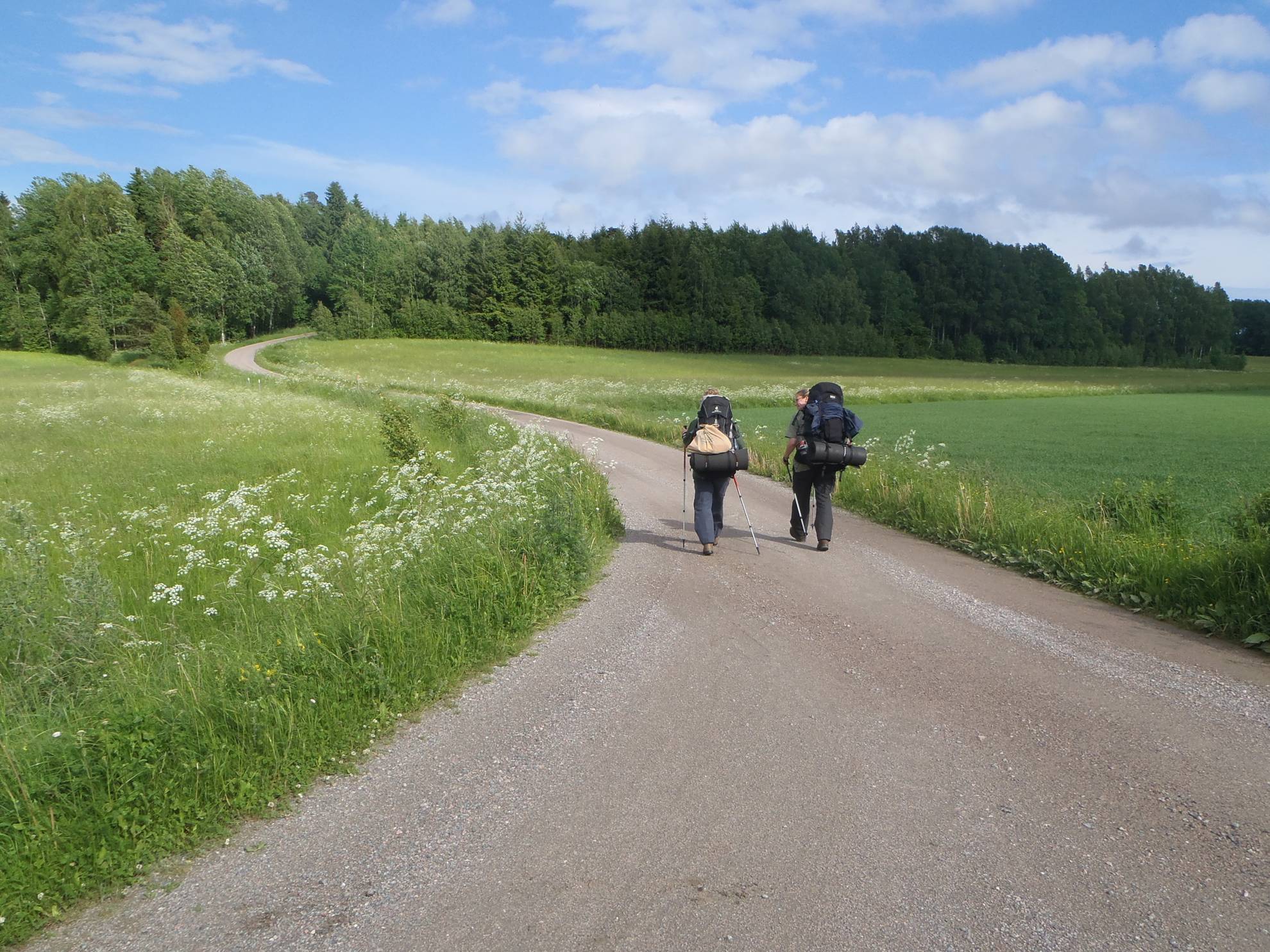 Two people with large backpacks walking on a gravel road surrounded by grass fields.