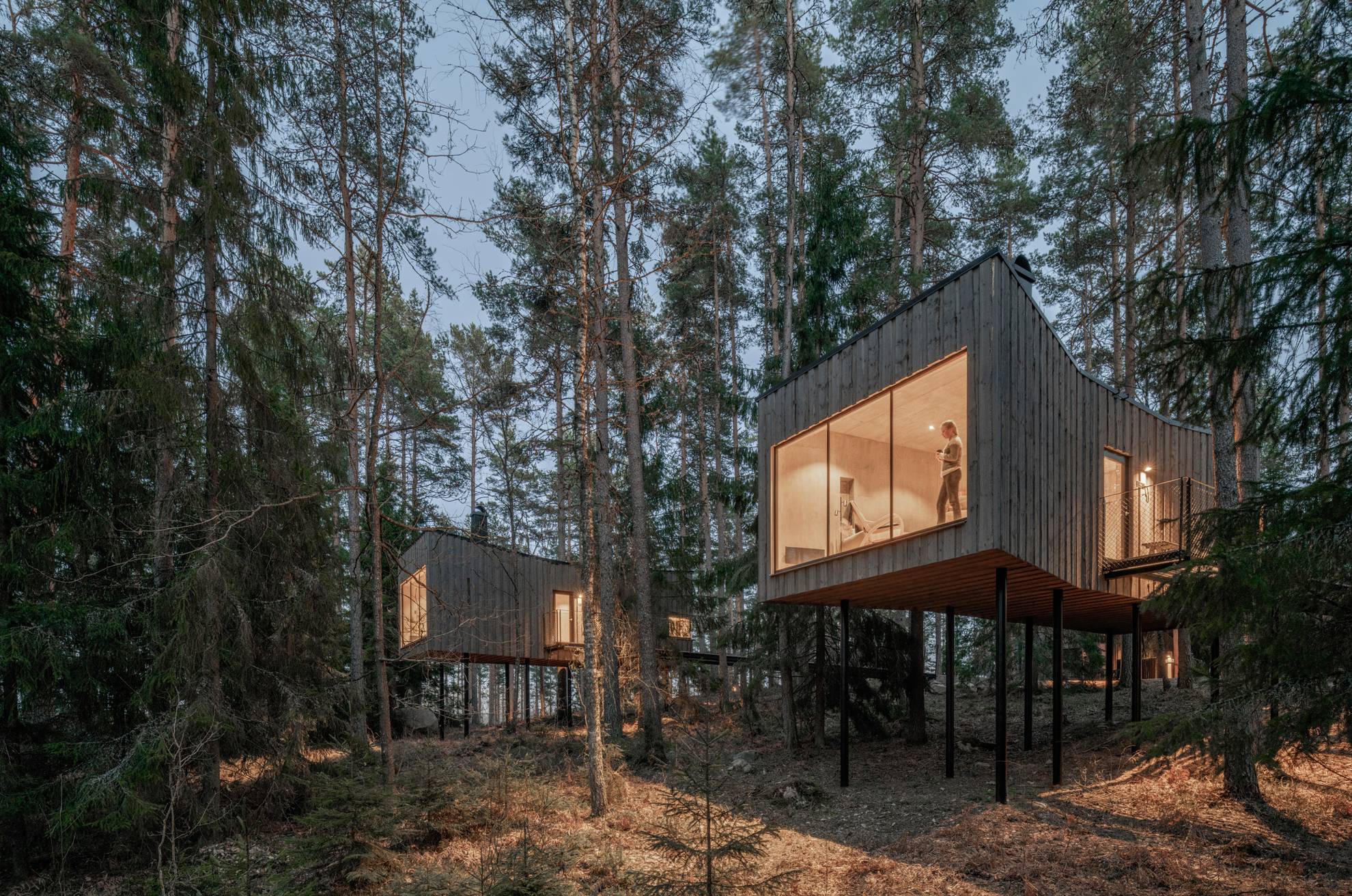 A rectangular wooden suite with a huge window is located in a forest.