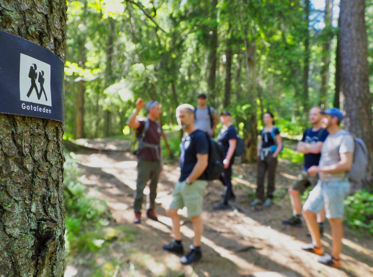 A group of people standing on a hiking trail in a forest.